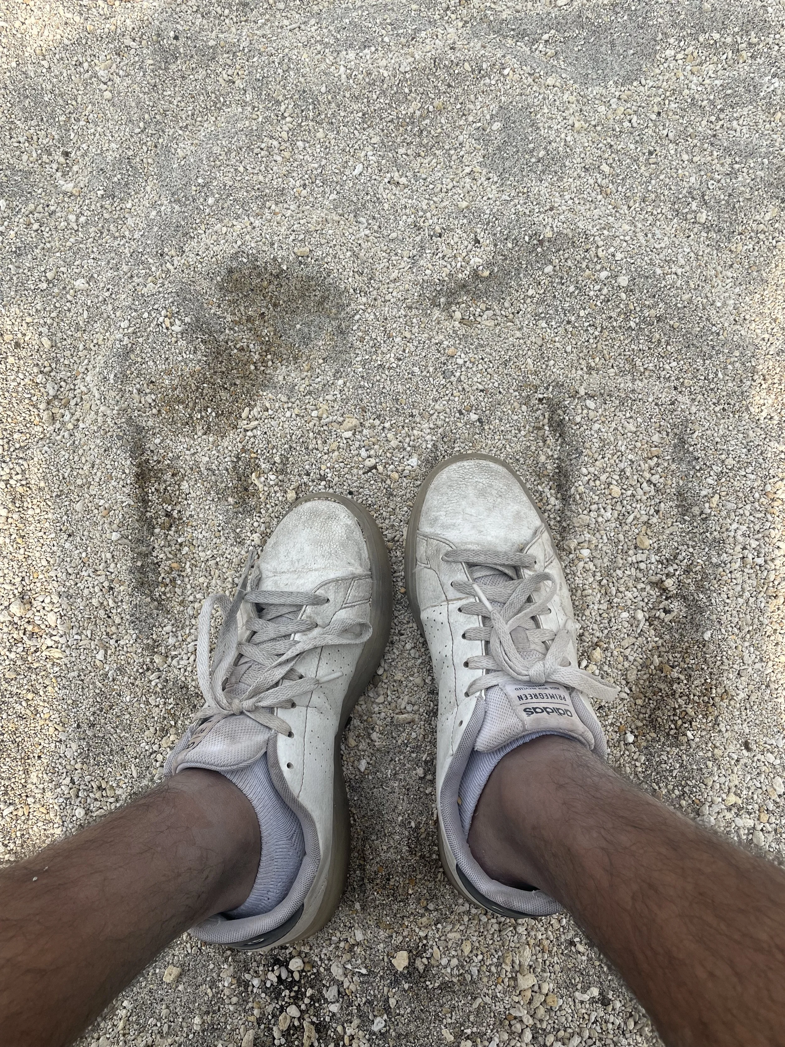 IMG_0638.jpeg