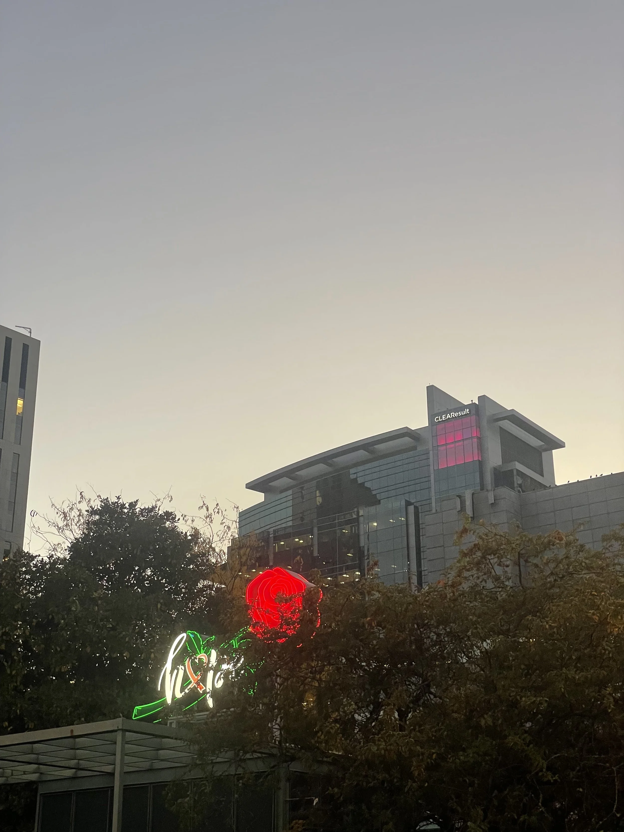 IMG_0769.jpeg