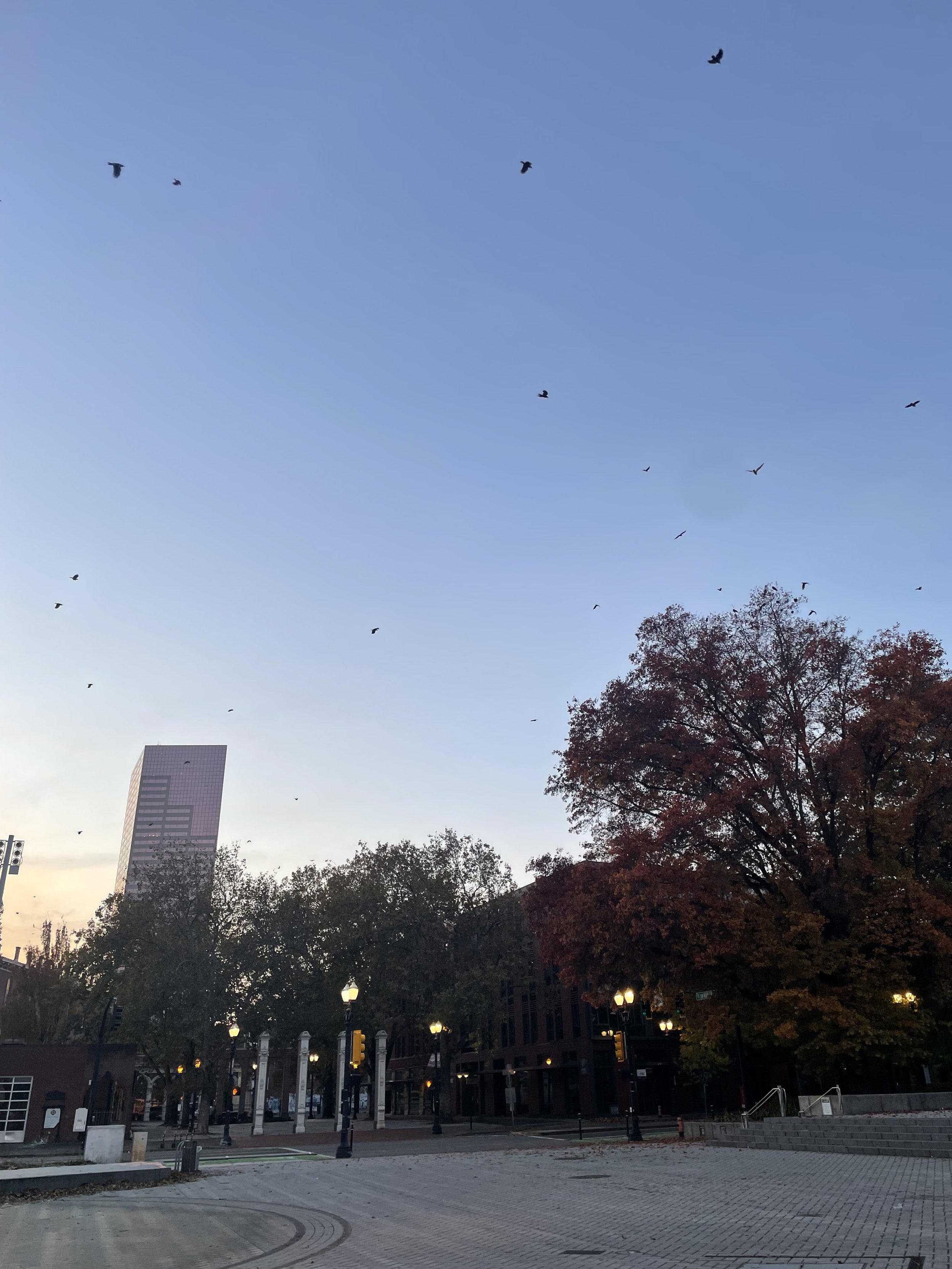 IMG_6488.jpeg