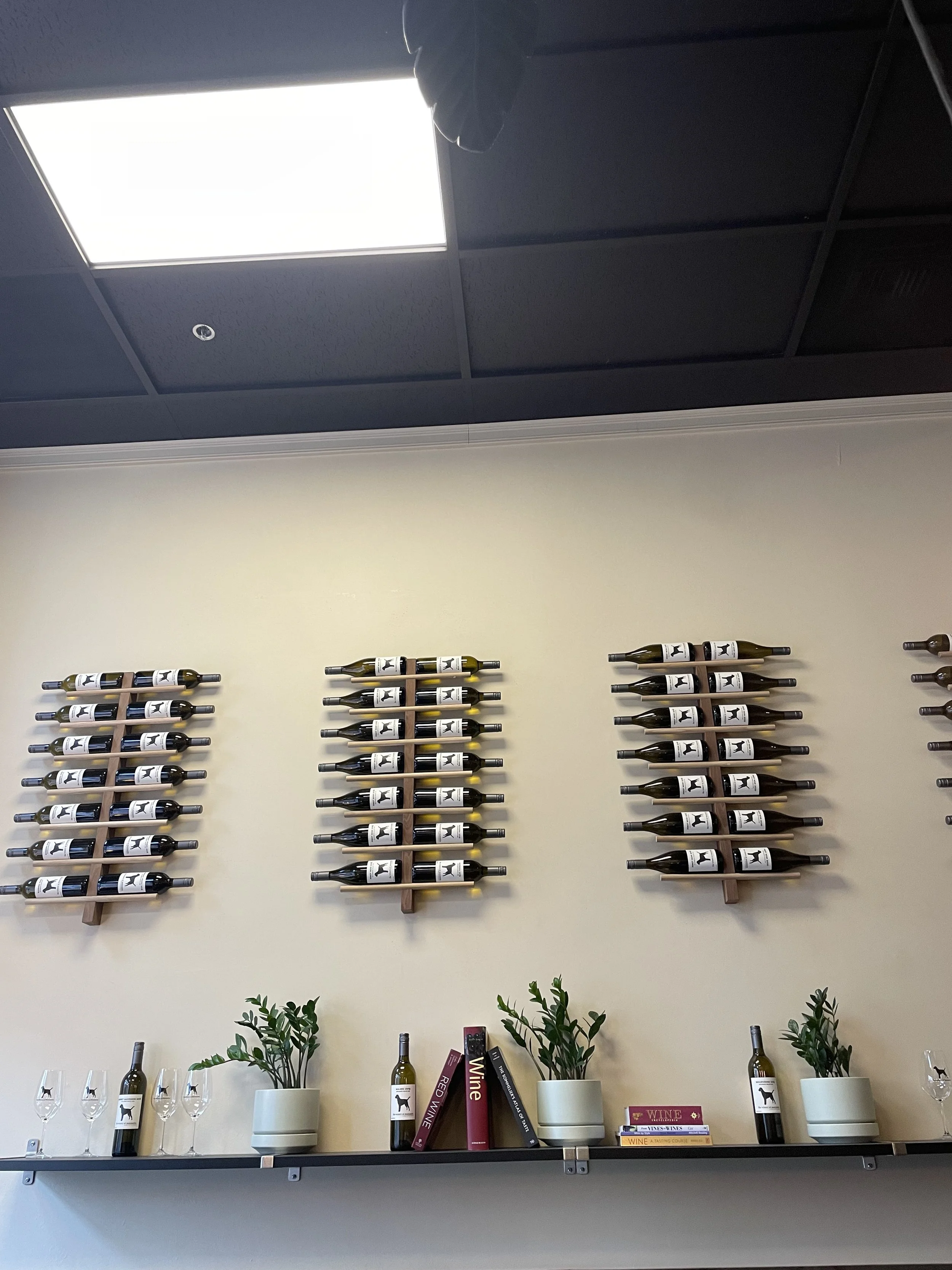 F9B02837-3587-45F7-B726-A20797B136A0.jpeg