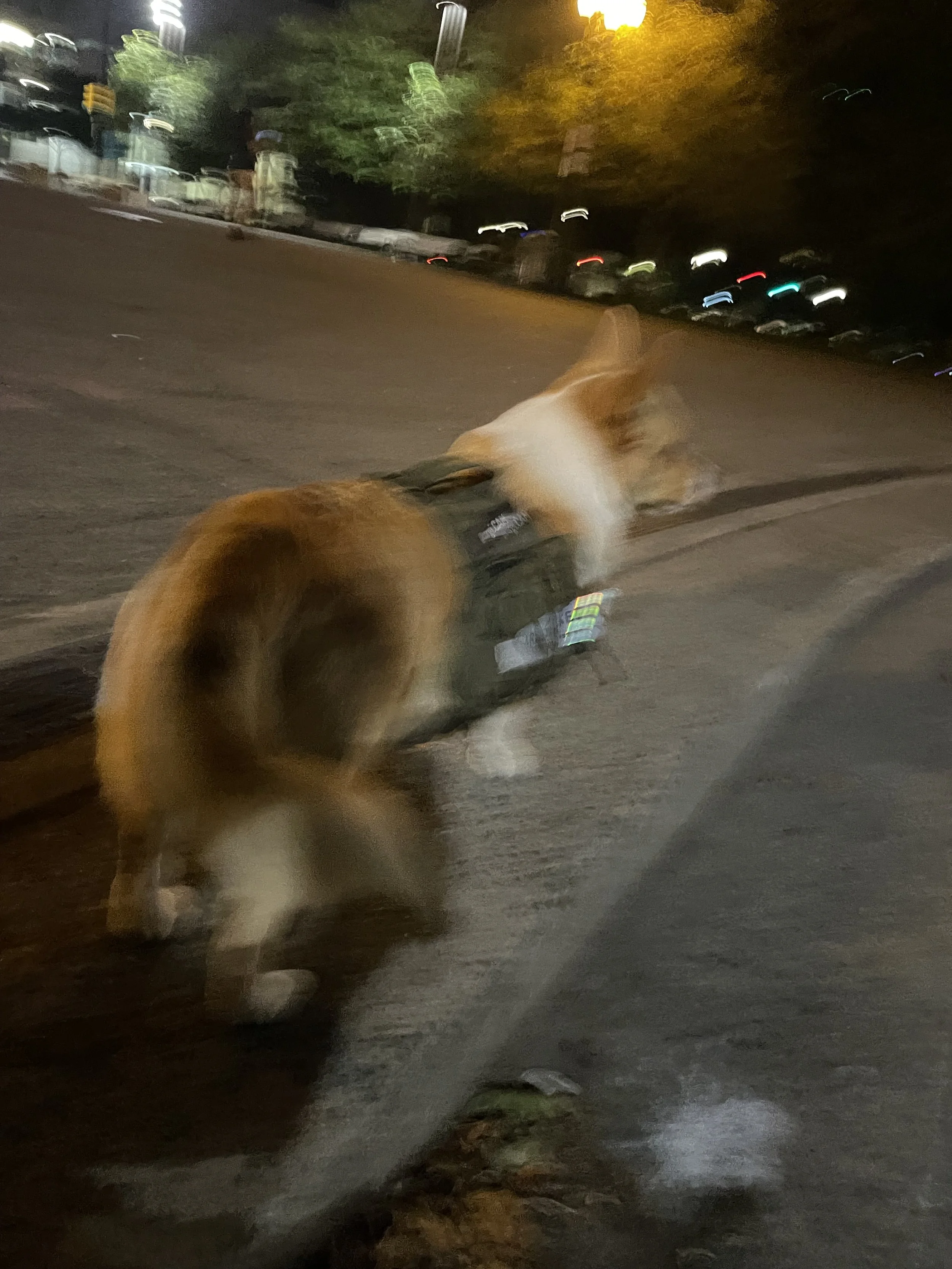 IMG_0621.jpeg