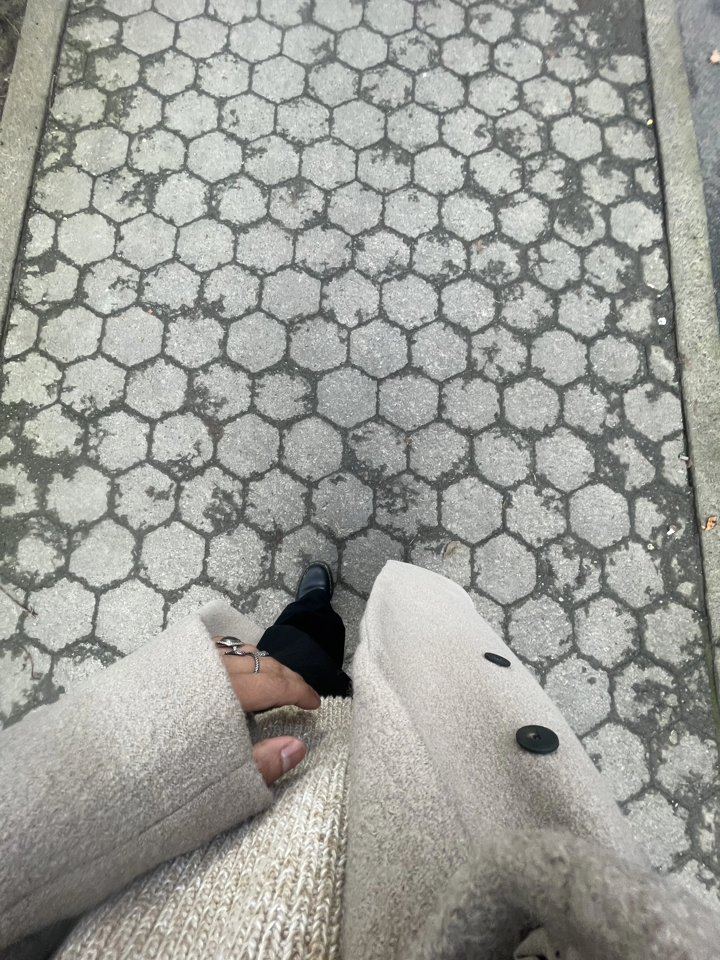 IMG_2395.jpeg