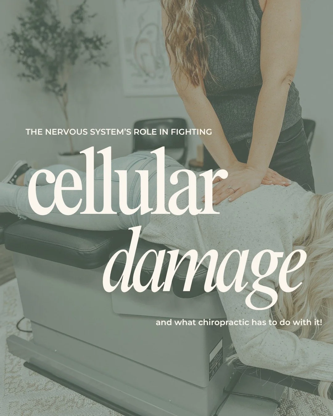 Every day, your body produces free radicals as a natural part of metabolism, stress, toxins, and even exercise. Normally, your cells can neutralize them with antioxidants. 

But when free radicals build up faster than your body can manage, it leads t