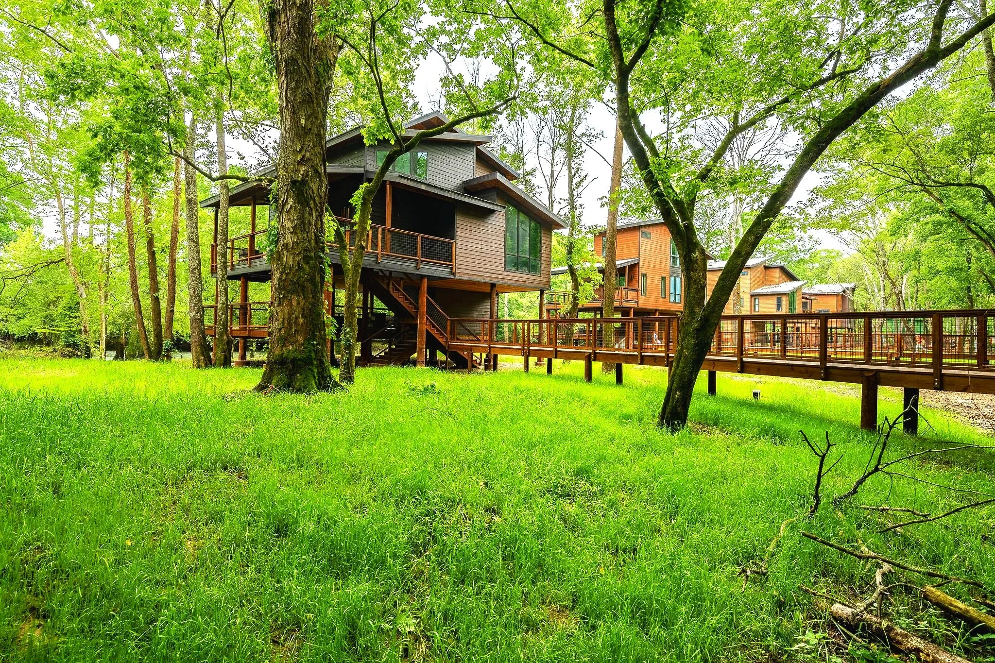 A modern treehouse with large windows and multiple levels, built among tall green trees in a lush forest, with a wooden walkway around it.