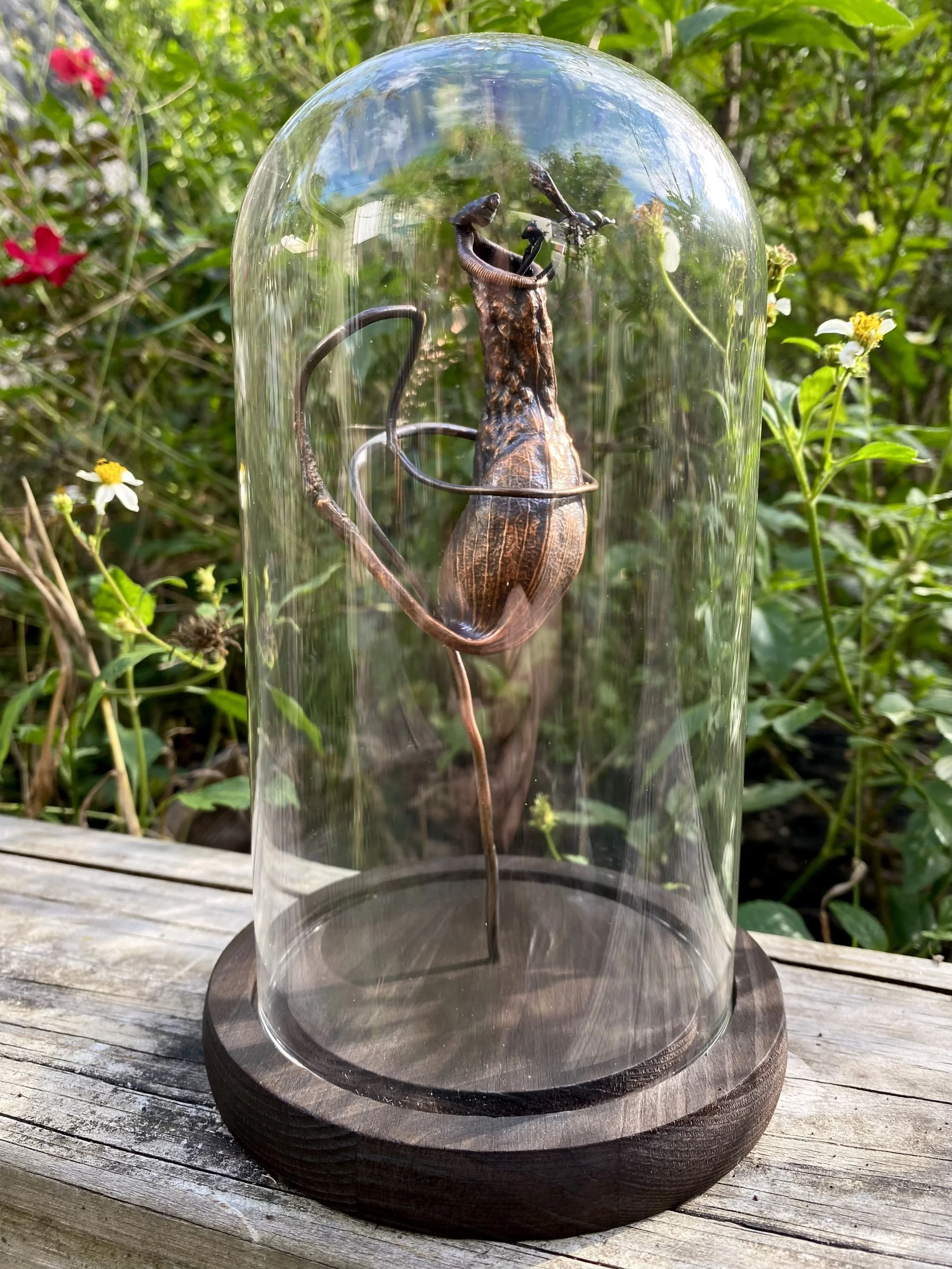 A glass cloche with a copper carnivorous plant specimen inside