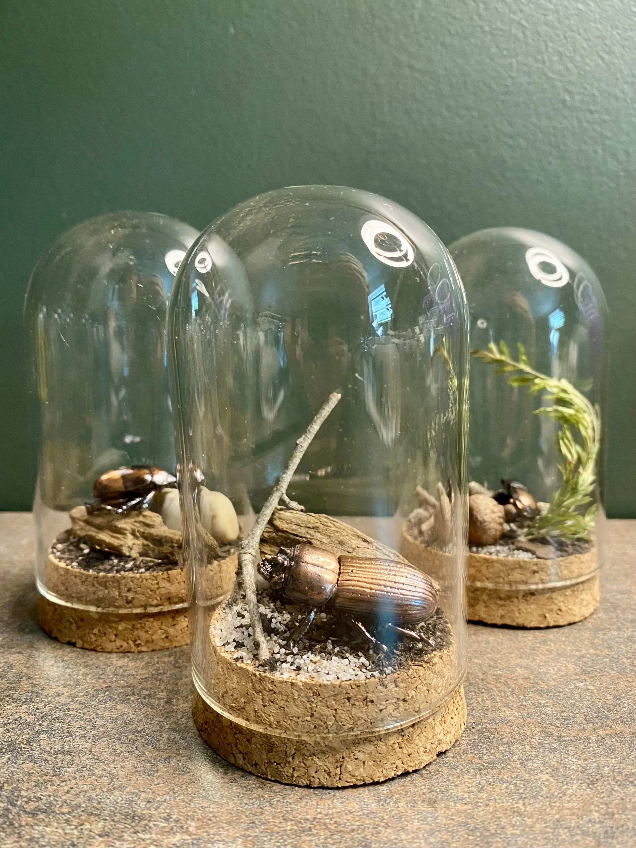 Glass cloche with copper insects