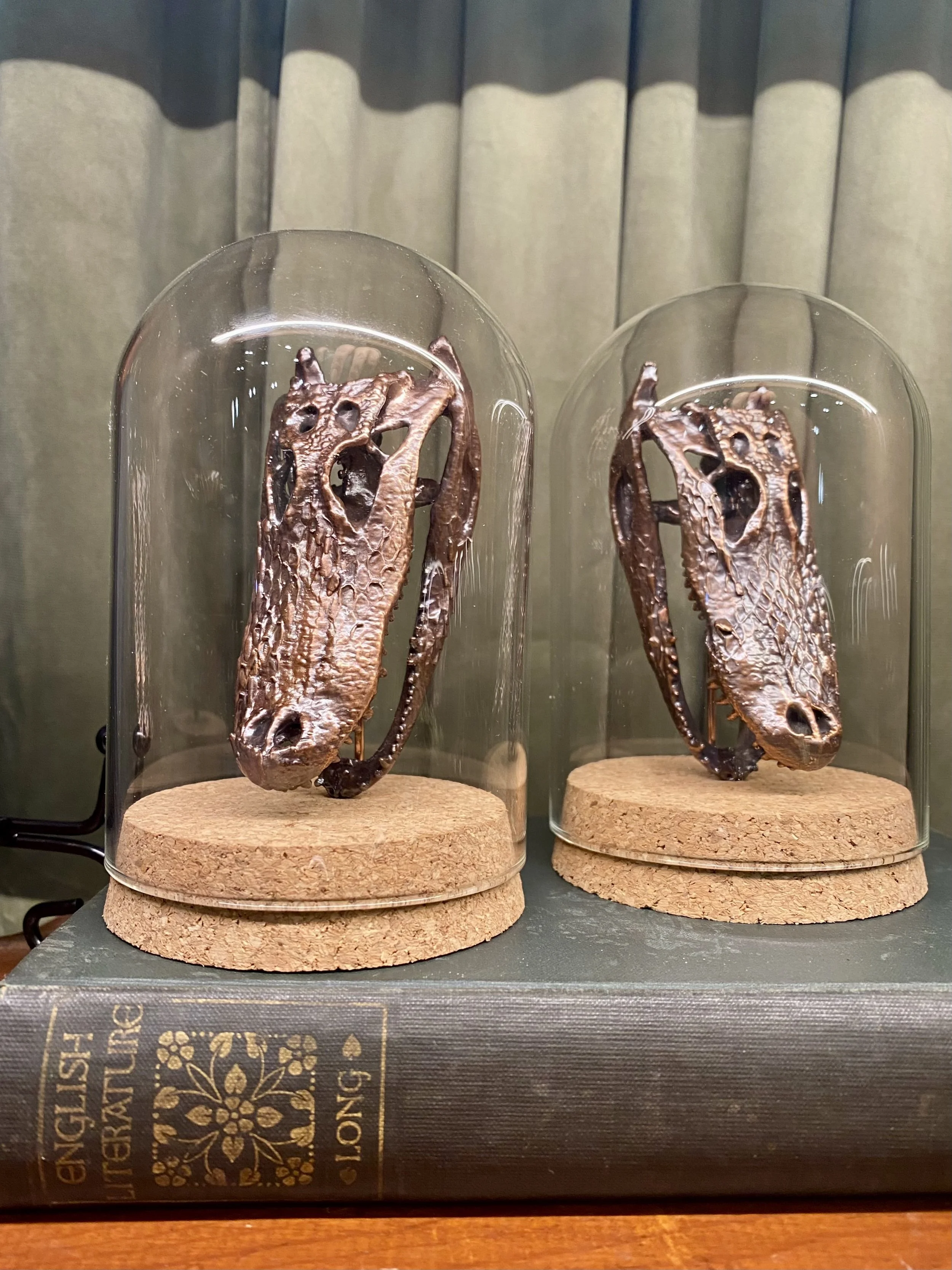 Alligator skull replicas in glass cloche