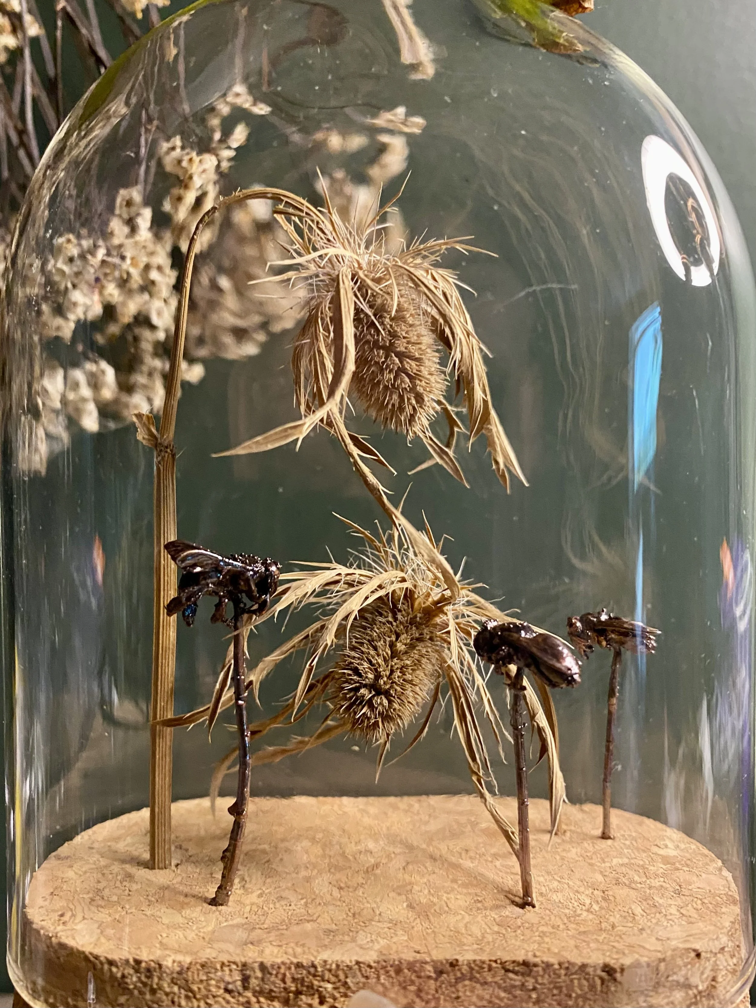 Bee specimens in copper and glass cloche