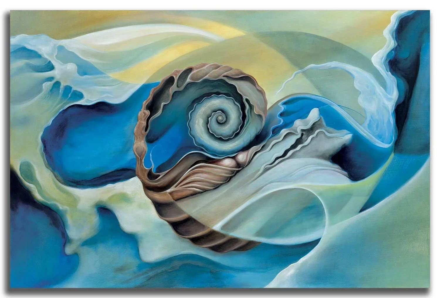 Nautilus_Magnificat_%C2%A91500.jpg