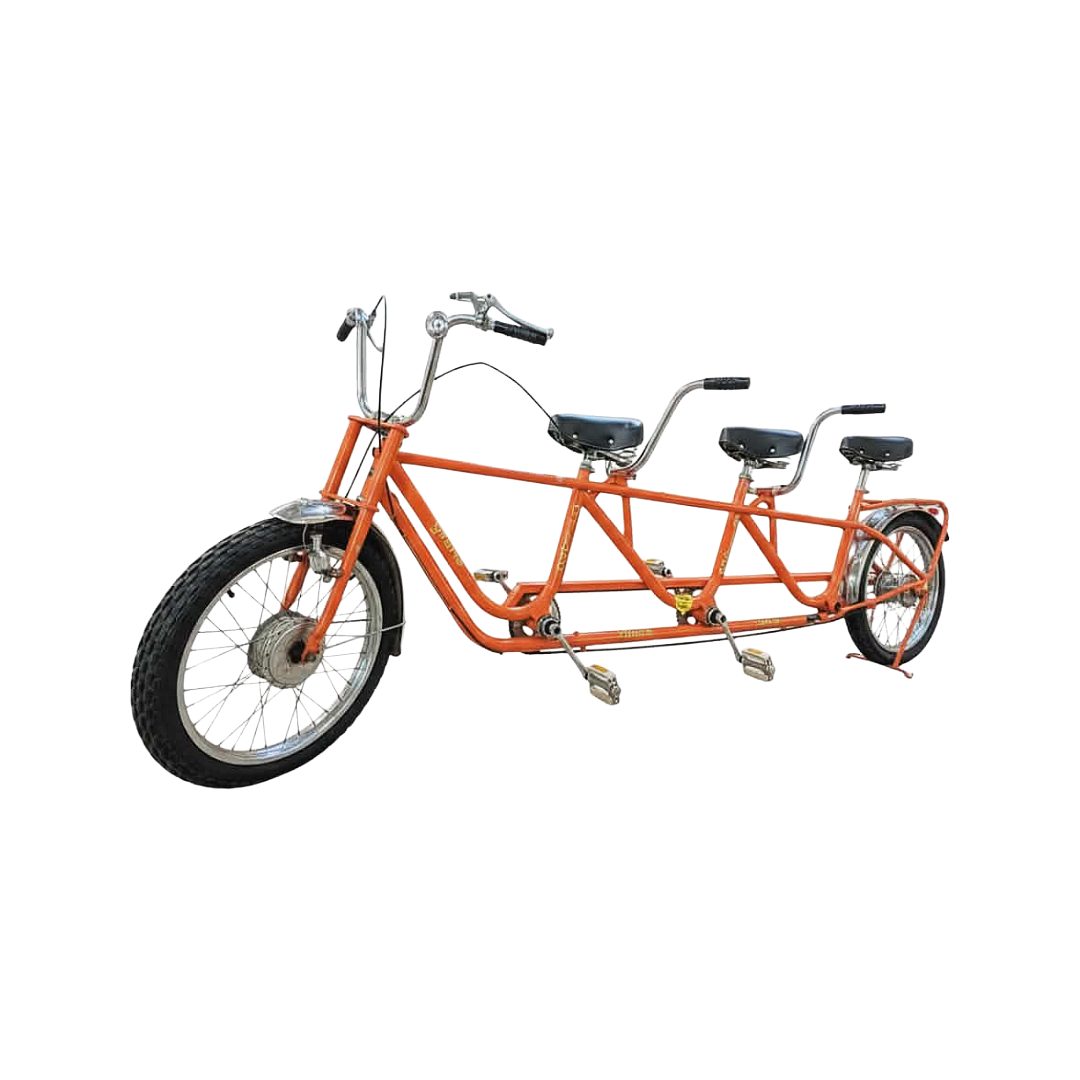 3 Person Tandem Bicycle /$300