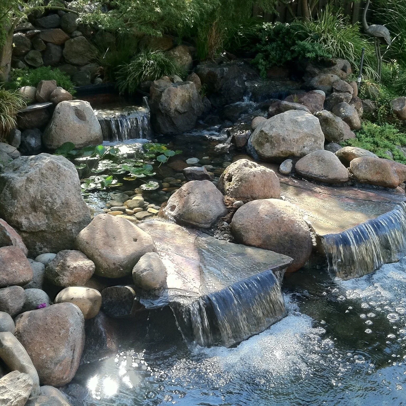 Affordable Landscape and Design