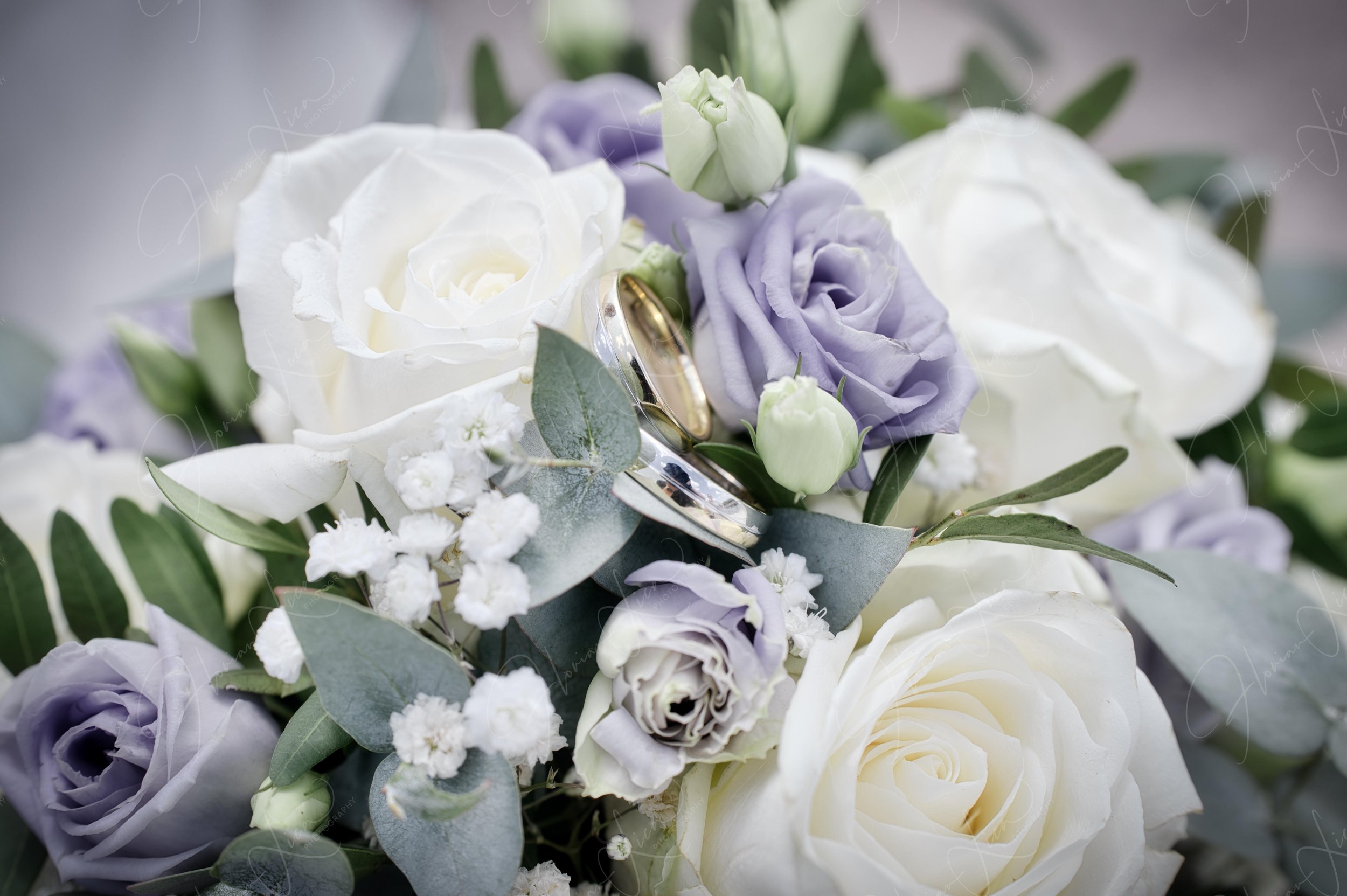 Hochzeit von Eli und Andy am Rhein / Weisweil