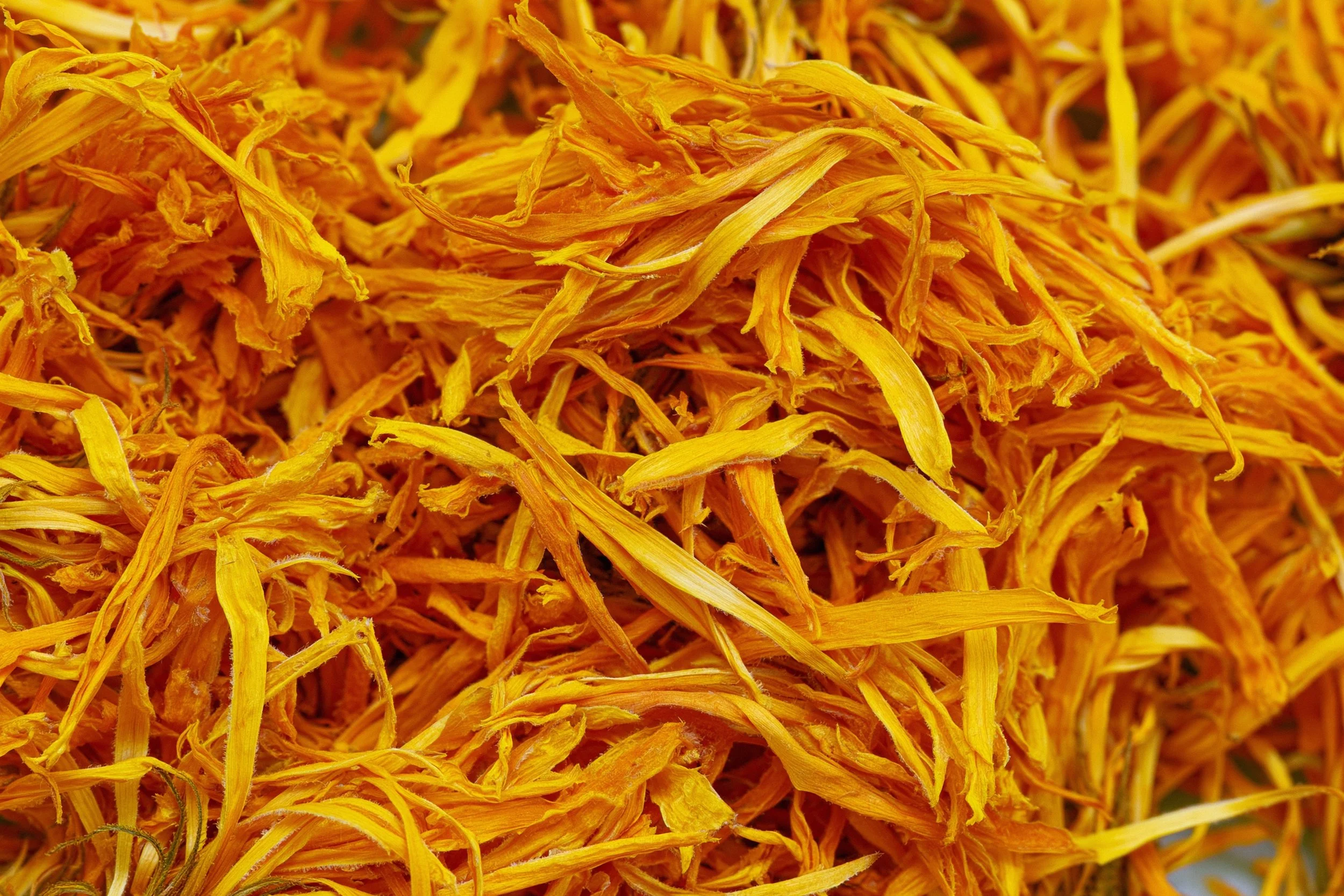 Dried calendula.jpg