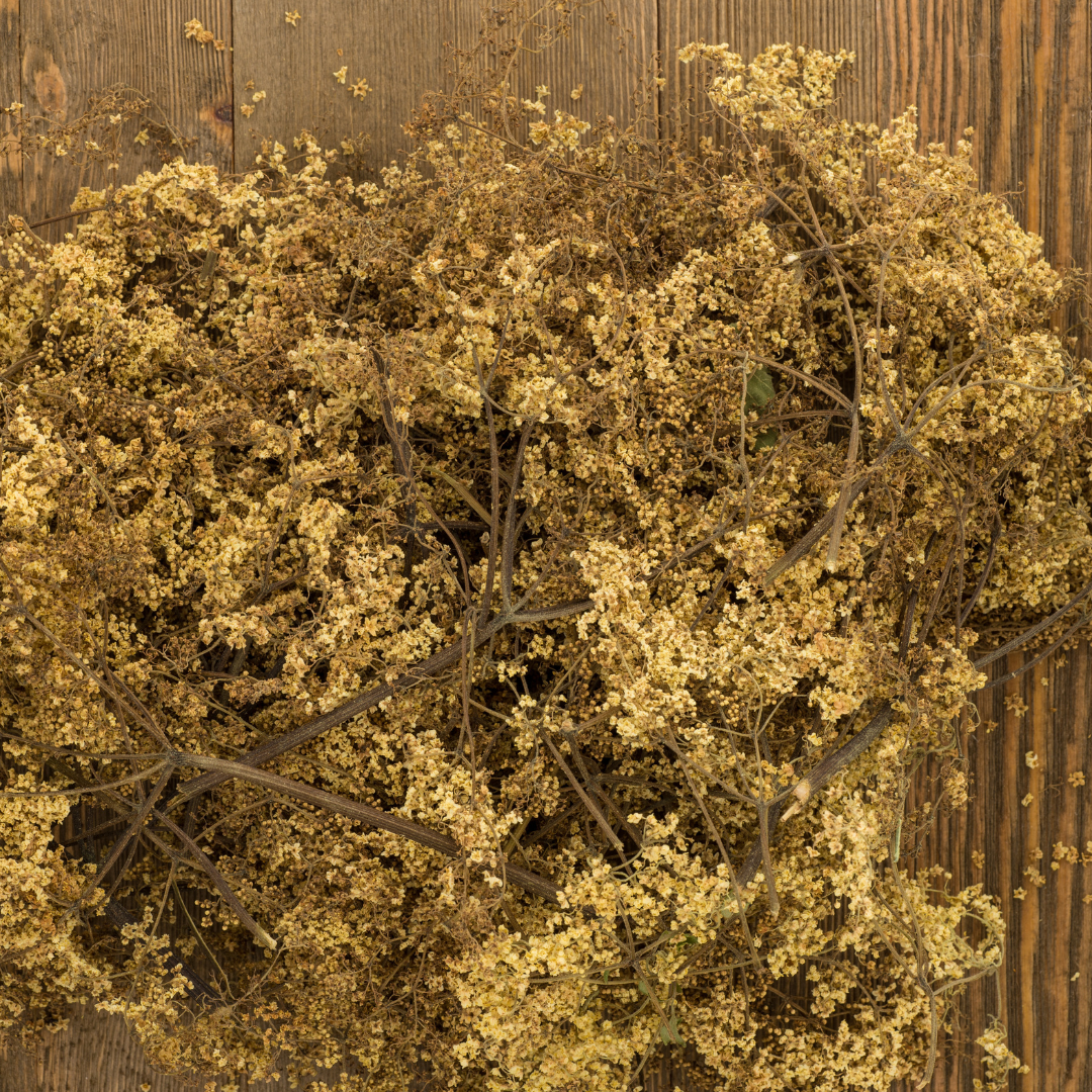 Elder flowers, dried - by the ounce