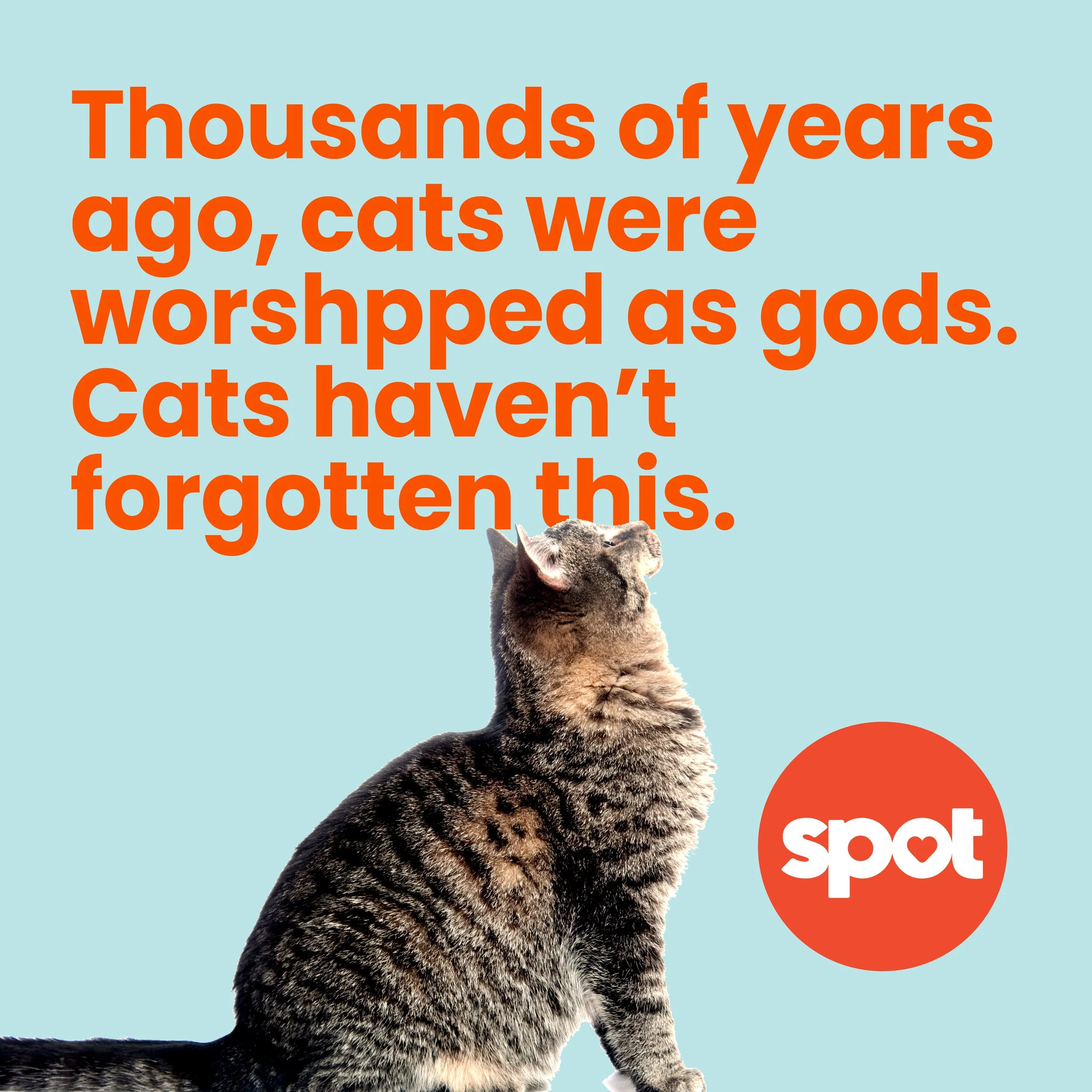 Cat_gods1.jpg