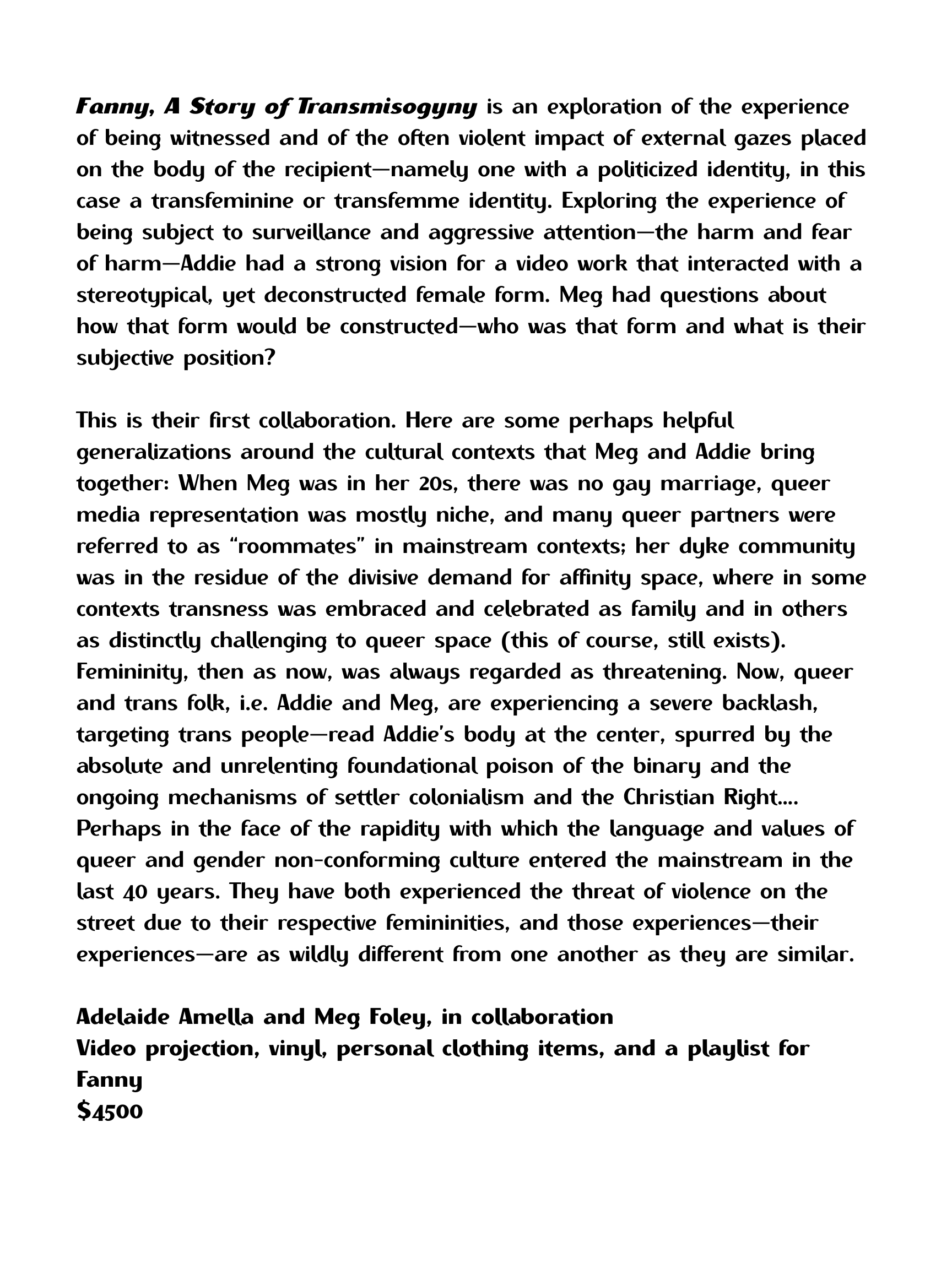 BDTF Fanny - A Story of Transmisogyny 18x24.png