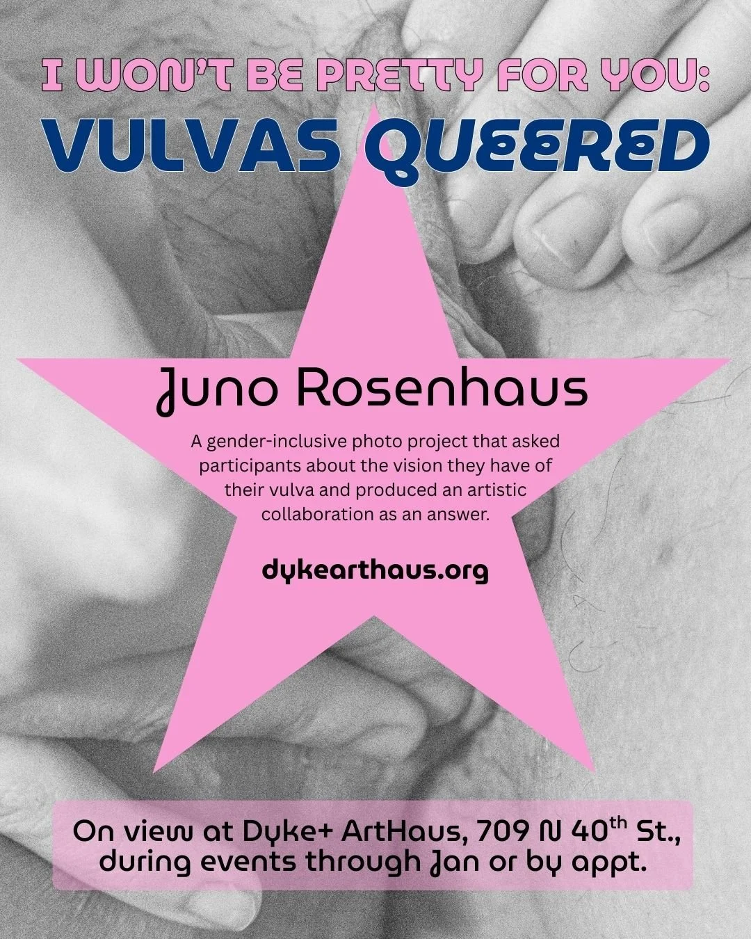 JUNO ROSENHAUS - I Will Not Be Pretty For You: Vulvas Queered