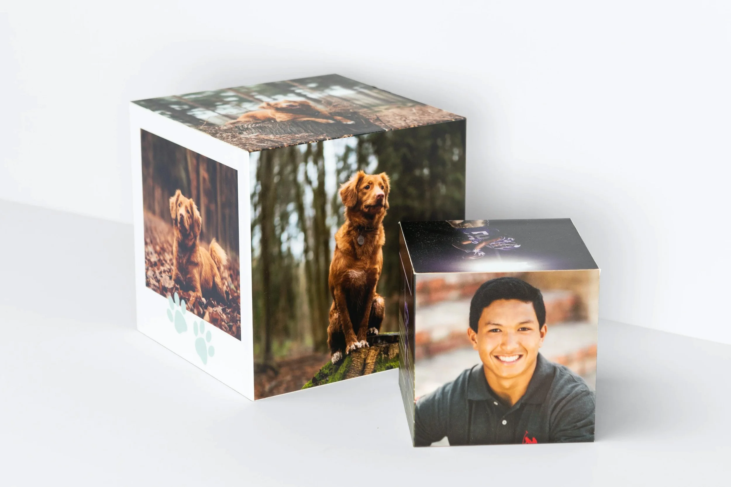 whcc_multiple-image-cube-sizes.jpg