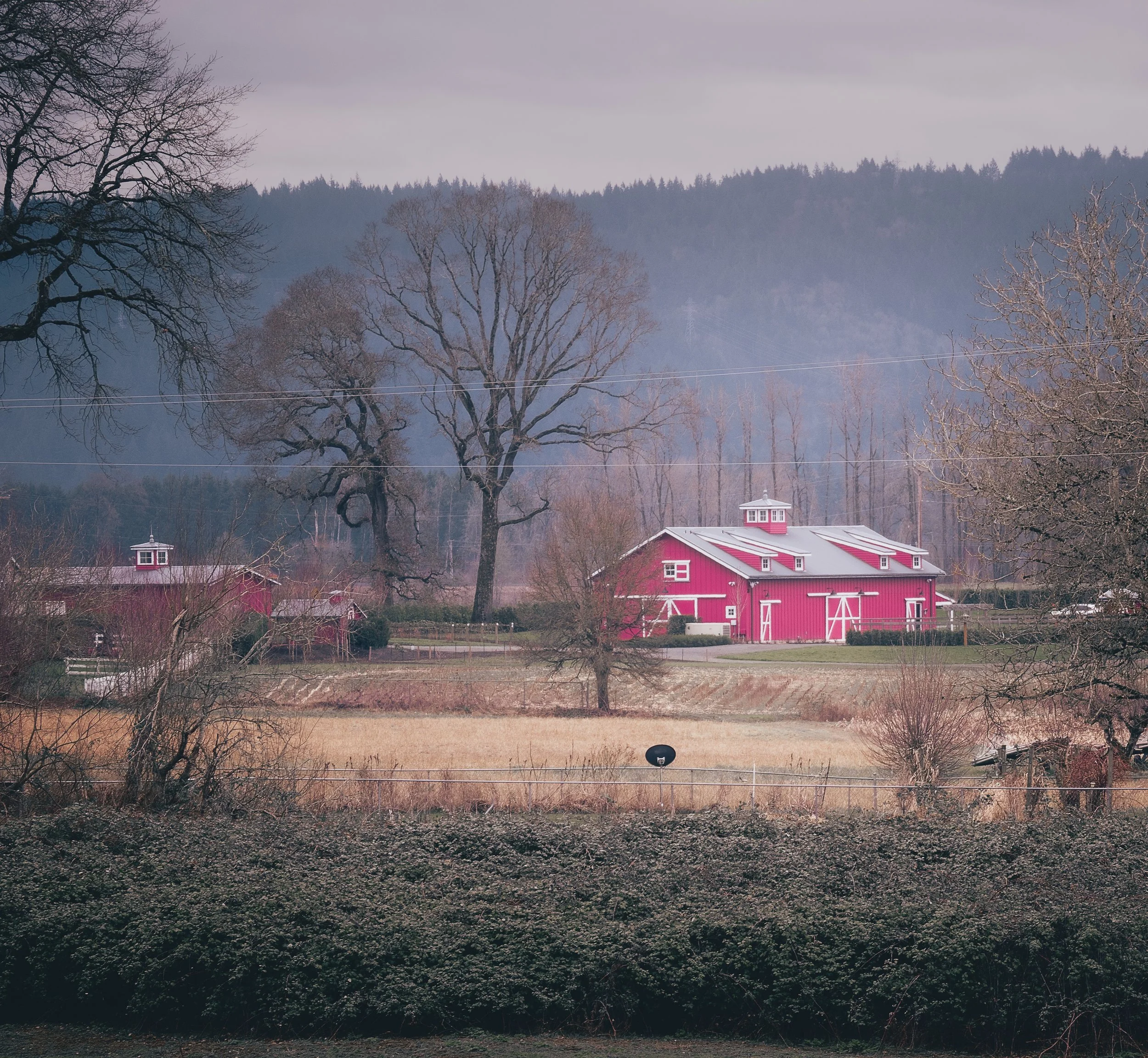 A rural landscape with a large pink barn, leafless trees, a grassy field, and distant hills under a cloudy sky.