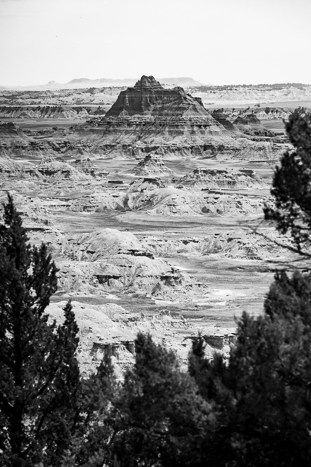 20220724-Badlands NP-037-Edit.jpg