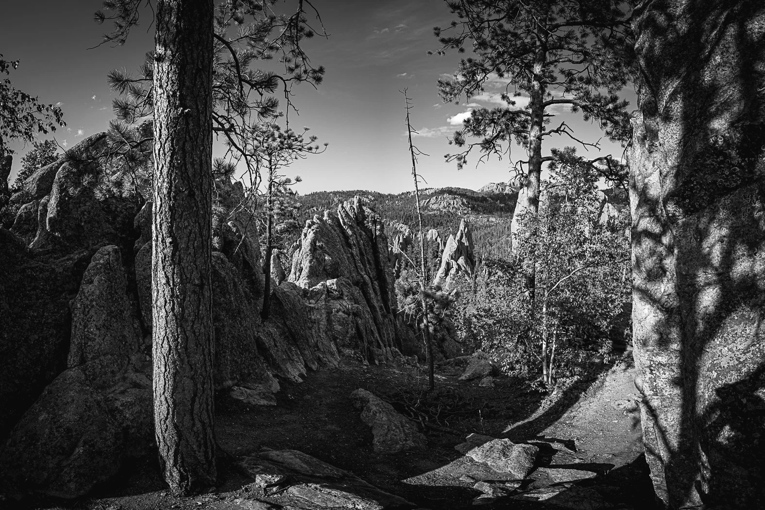 20220723-Needles Highway & Wind Cave NP-229-Pano.jpg