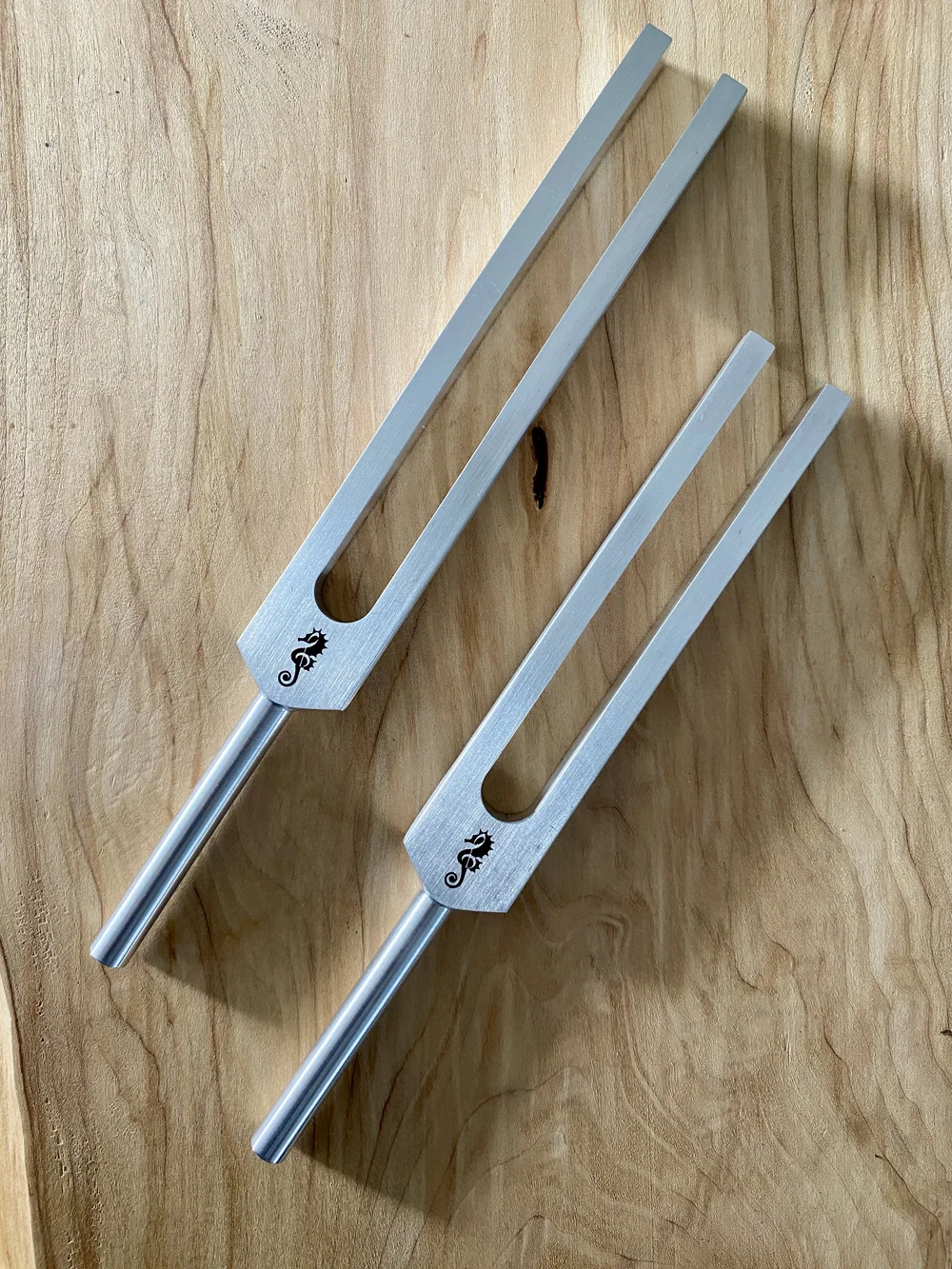 IMG_5260.JPG?format=1000w