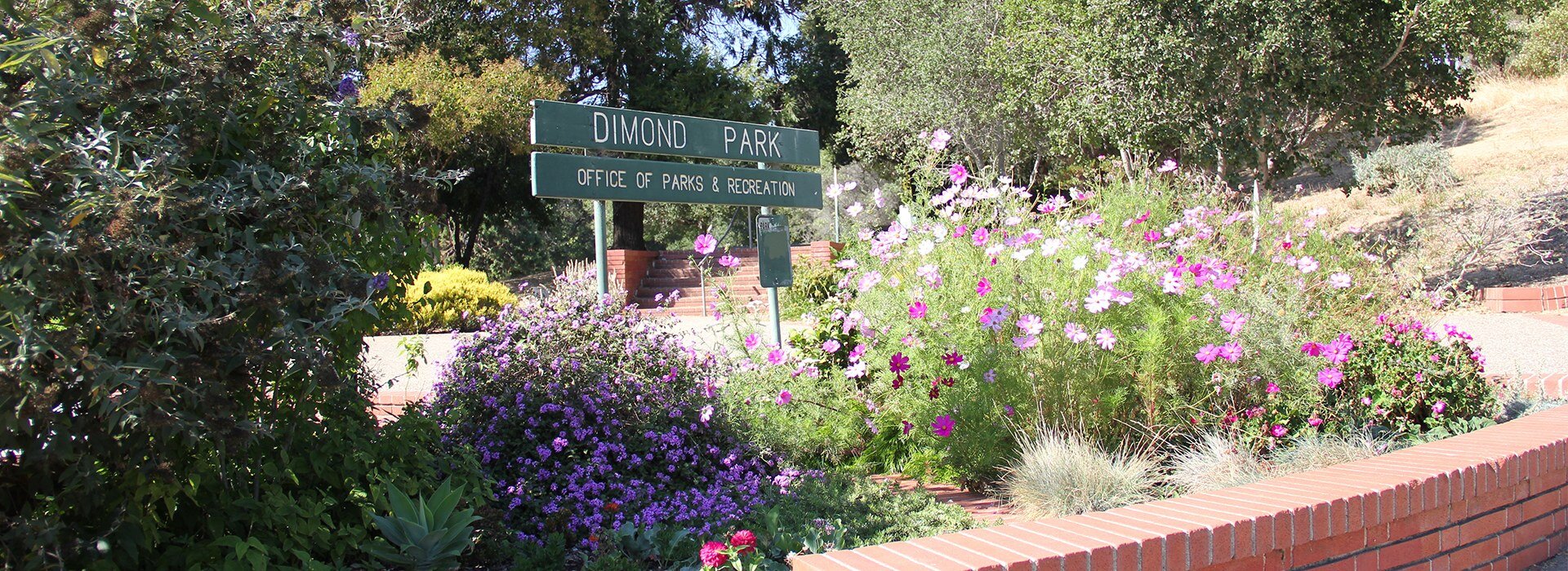 Dimond Park optimized_719a4e1b14363db77ff76586eeb4a24e.jpg