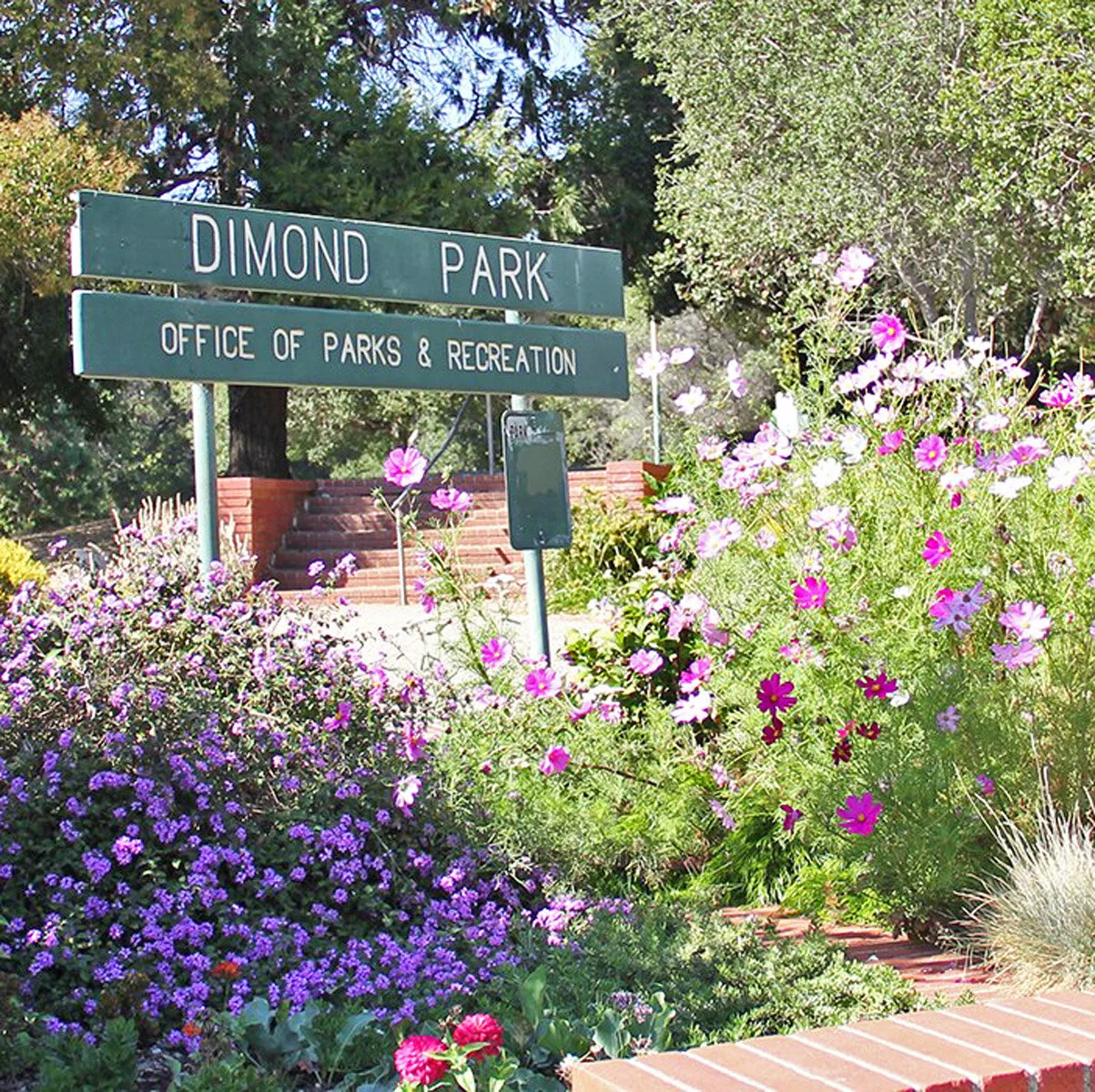 Dimond Park
