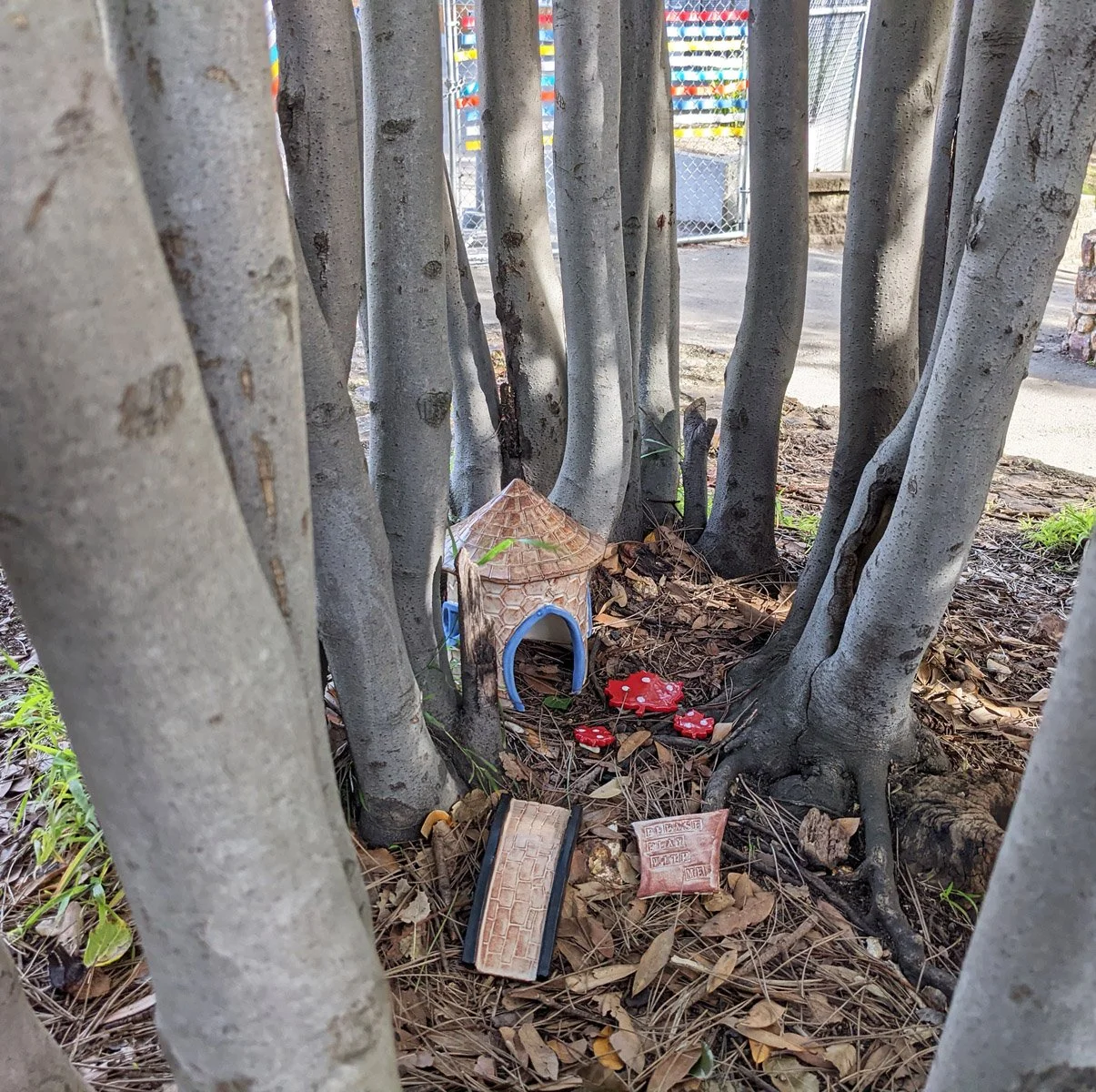 Montclair Park - 2nd Visit