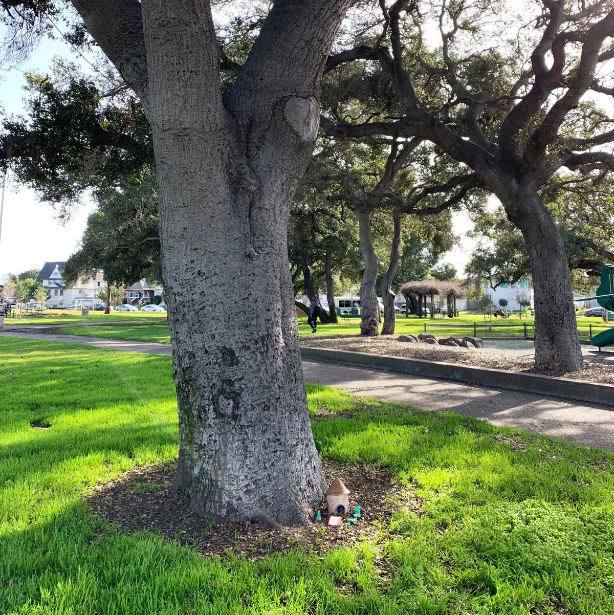 DeFremery Park