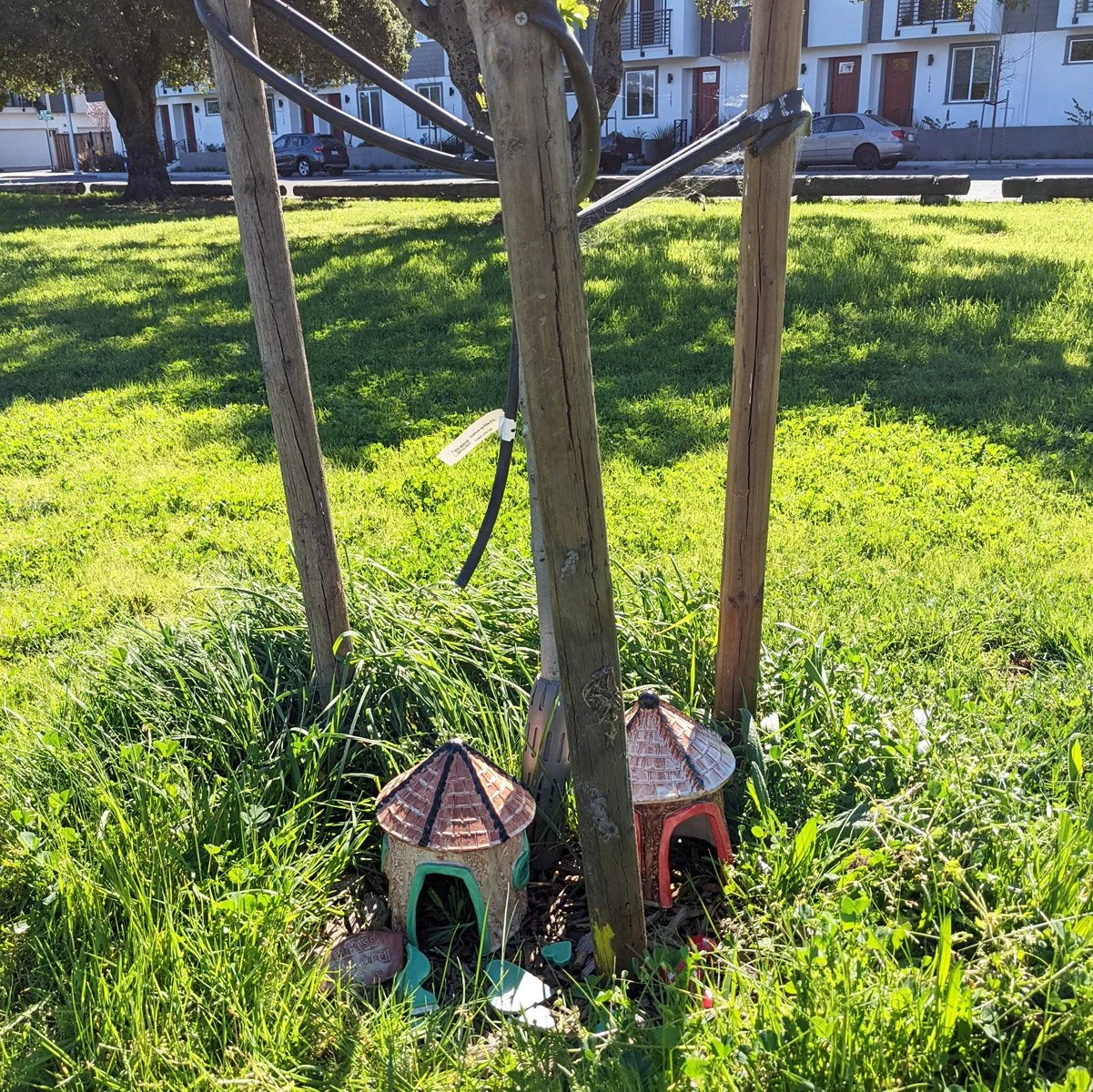 Raimondi Park - 2nd Visit