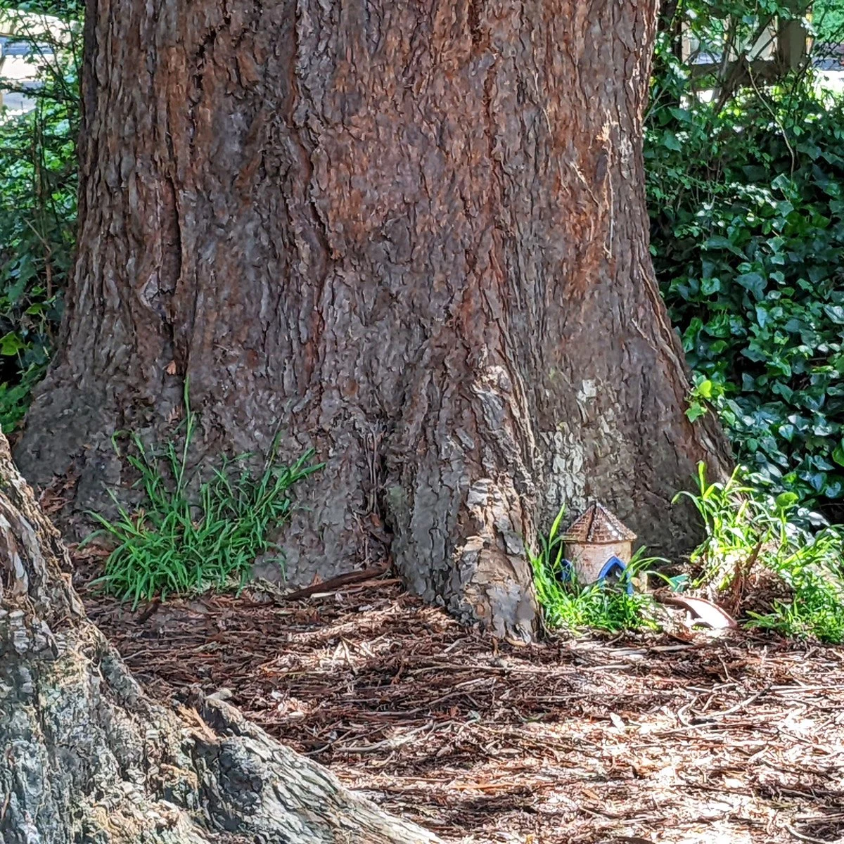 Lake Temescal - 2nd Visit