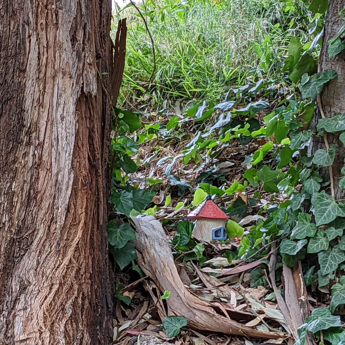 Peralta Hacienda Park - 2nd Visit