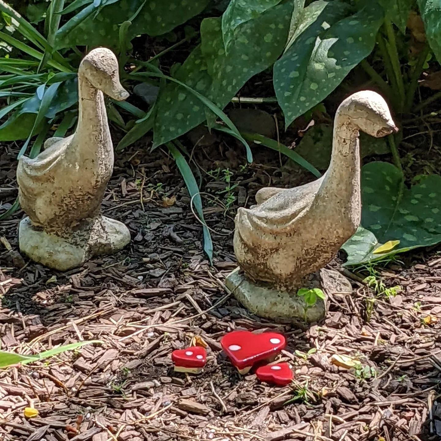 Added some fairy furniture to Charter Street Park in Boston's North End.  This cute little park already sported a fairy house; along with a bunch of other sculptures.  And as a special treat, a multitude of Ukrainian flags.
.
.
#gmfairyabodes #fairya