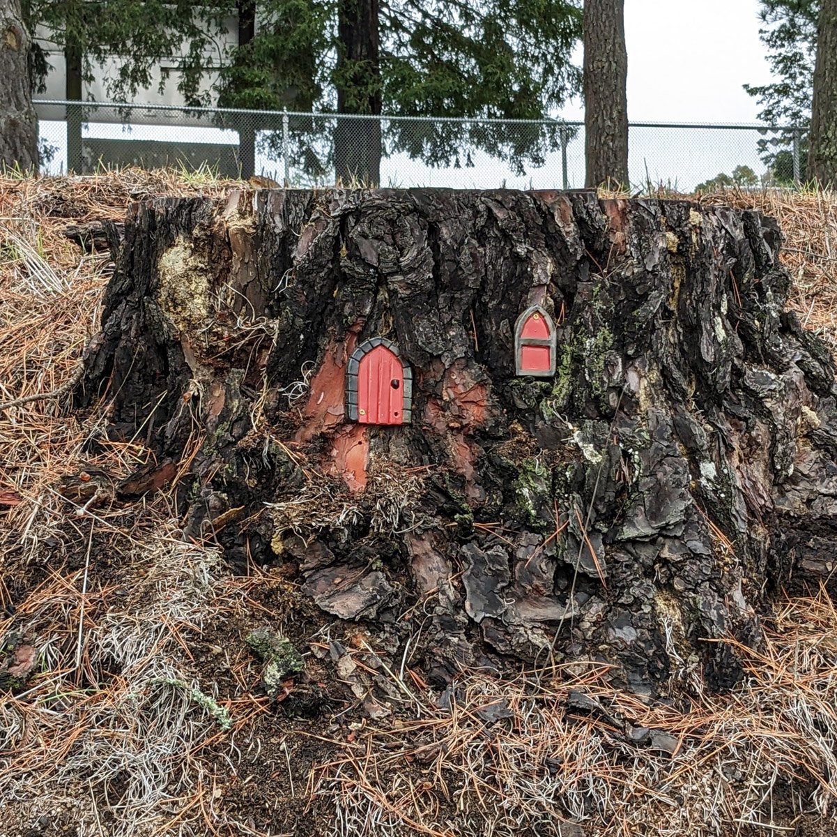 More Fairy Doors
