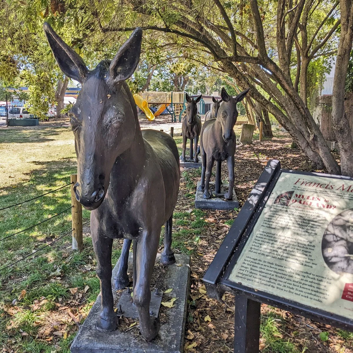 FM Smith Park