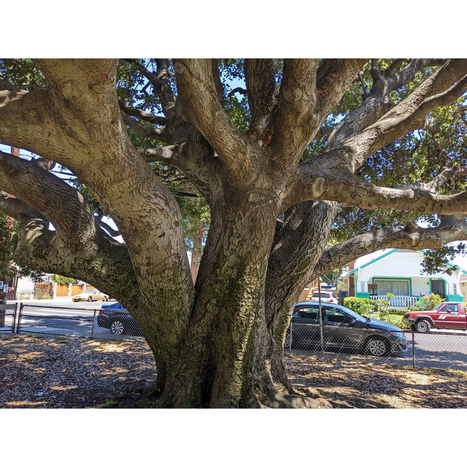 Manzanita Park