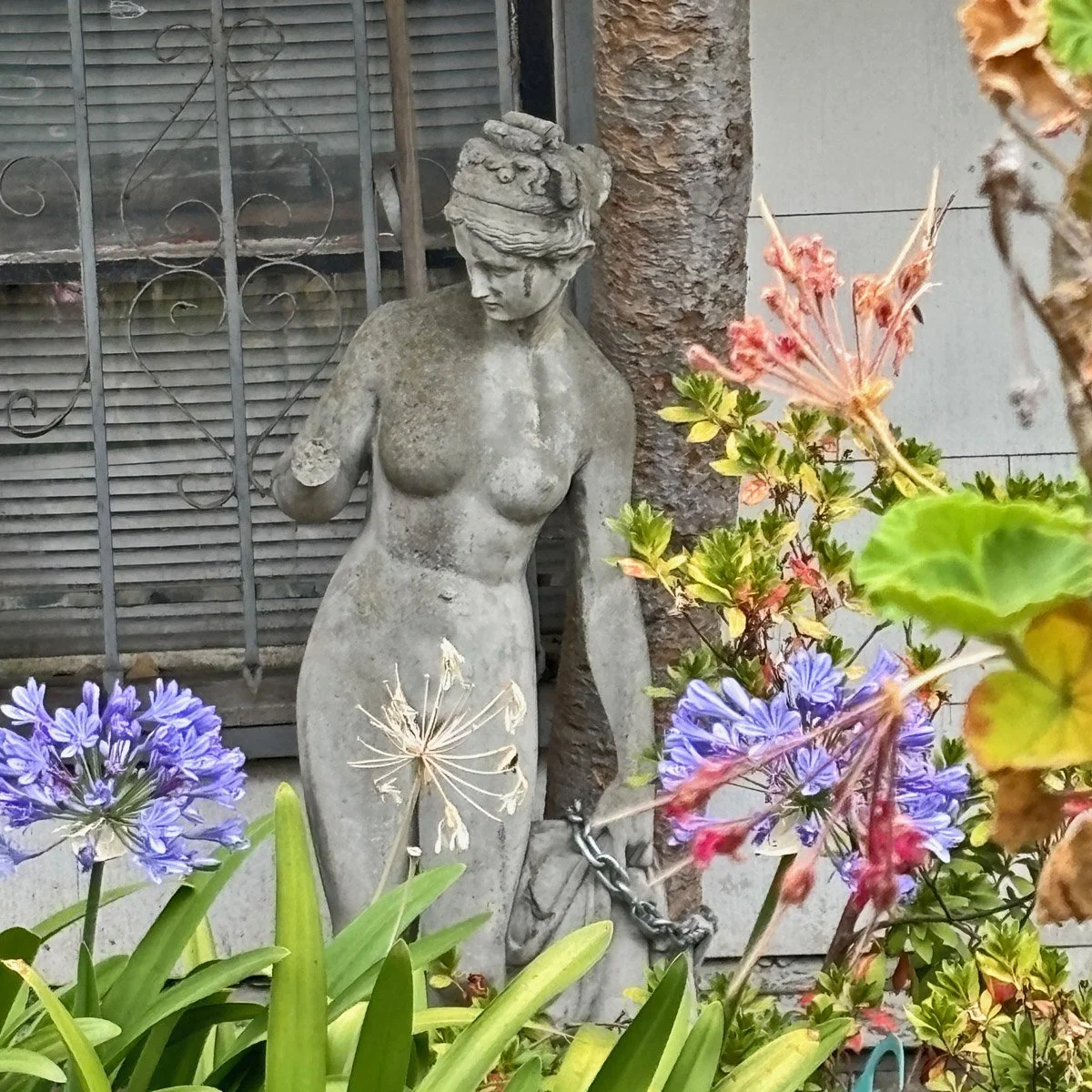 Morgan Plaza