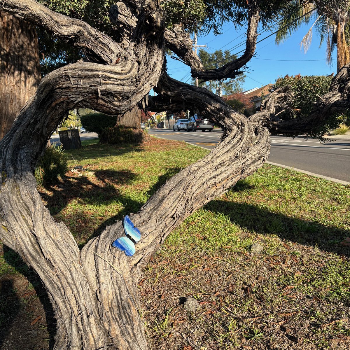 High Street Butterflies