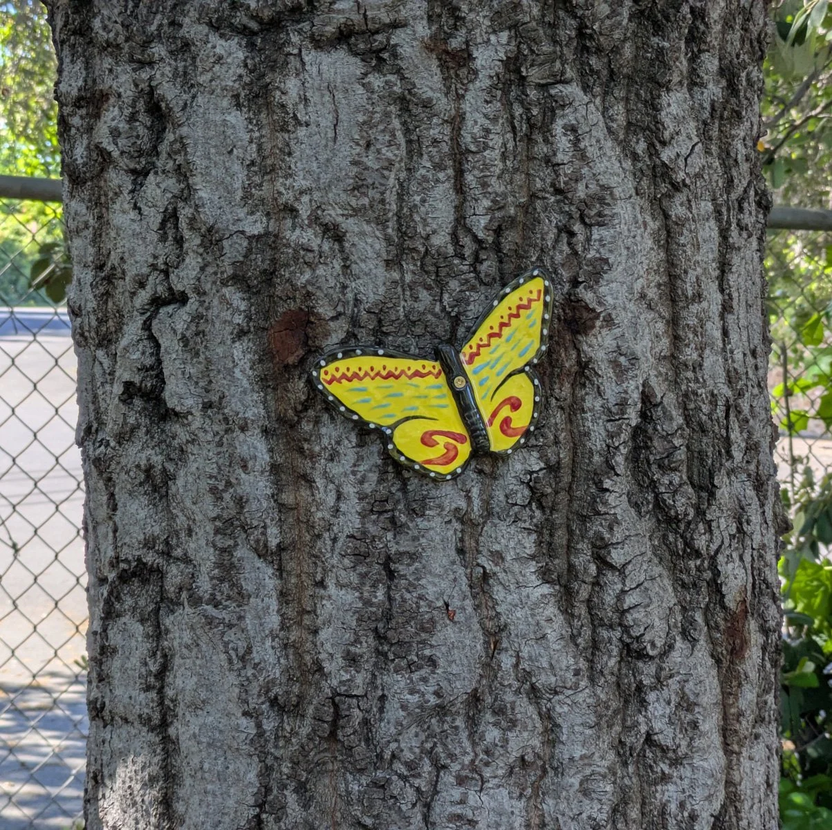 Butterflies on Rockridge-Temescal Greenway