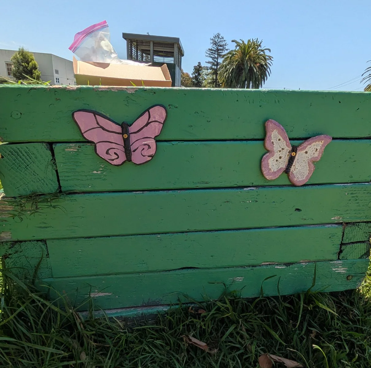 Concordia Park - Butterflies