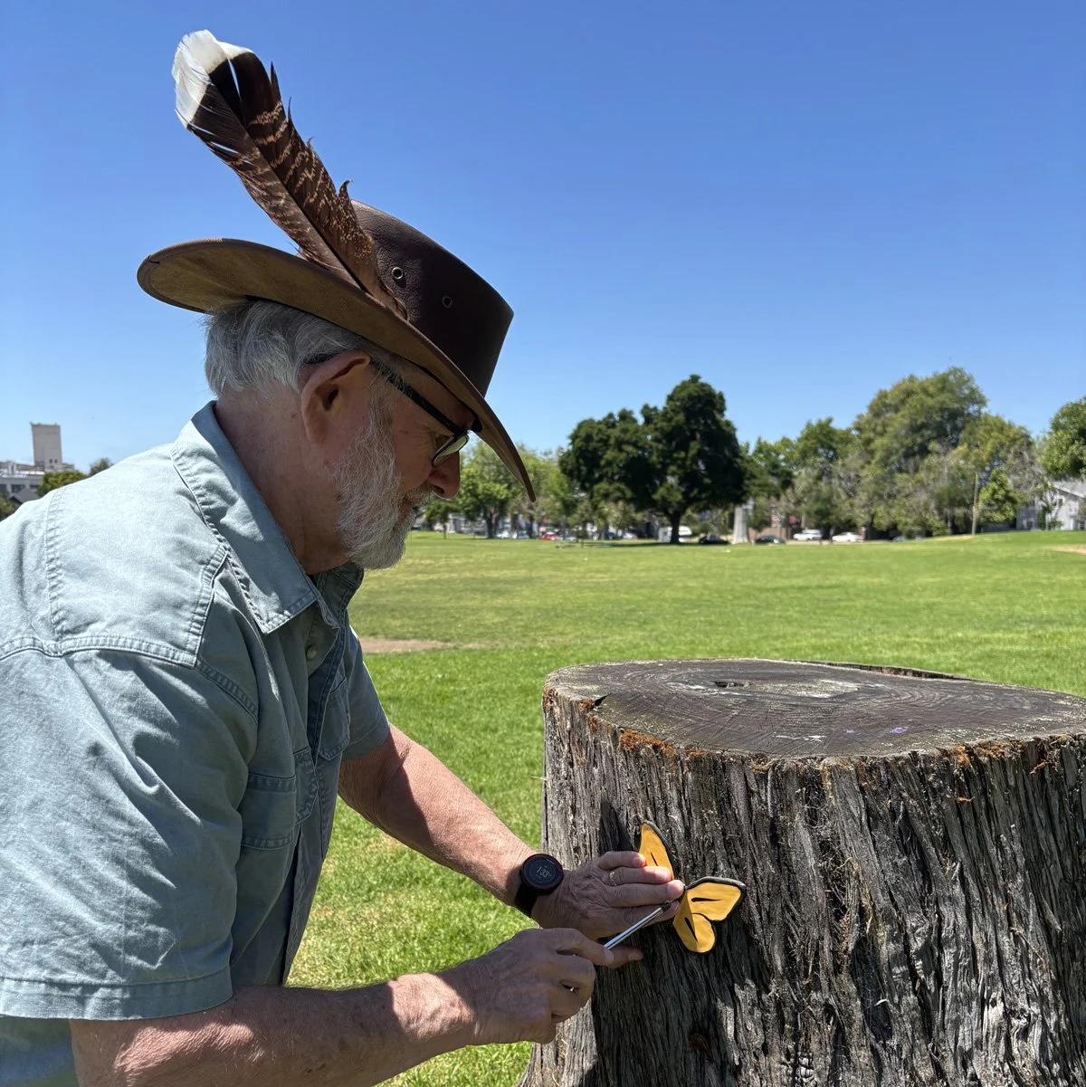 Lowell Park - Houses and Butterflies