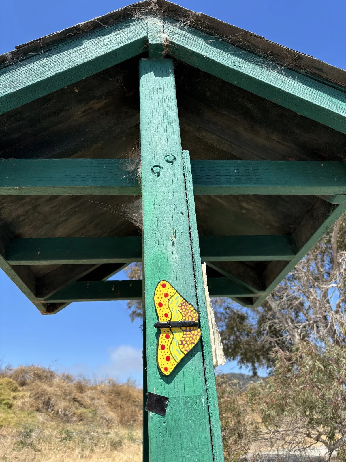 Albany Bulb - More Butterflies
