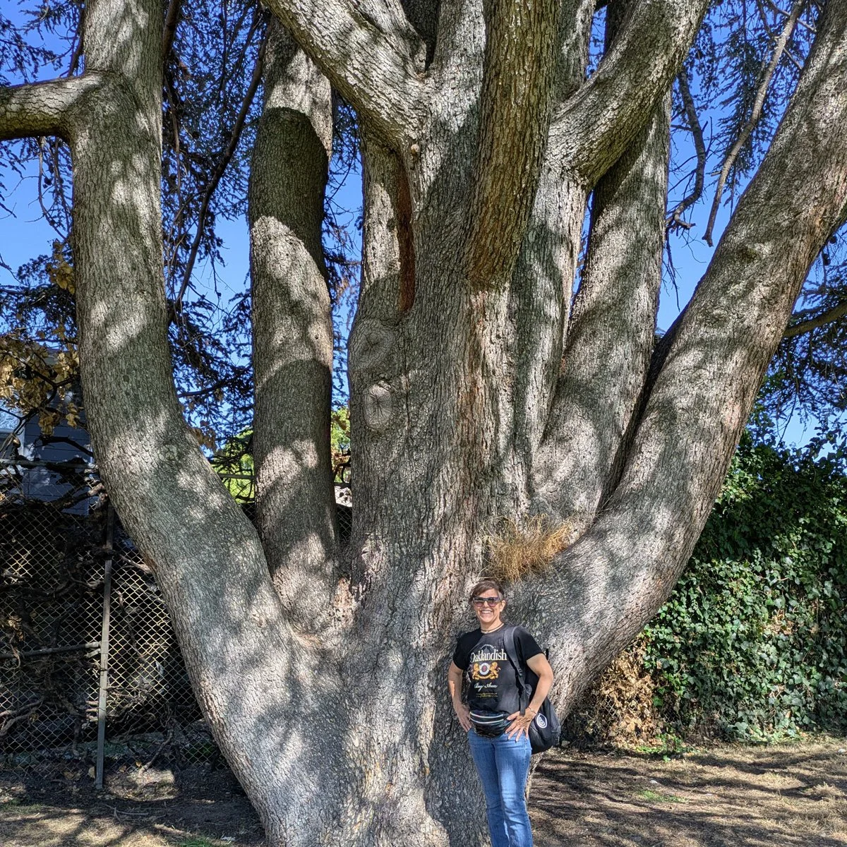 Arroyo Viejo Park