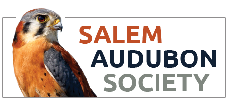 Salem Audubon Society