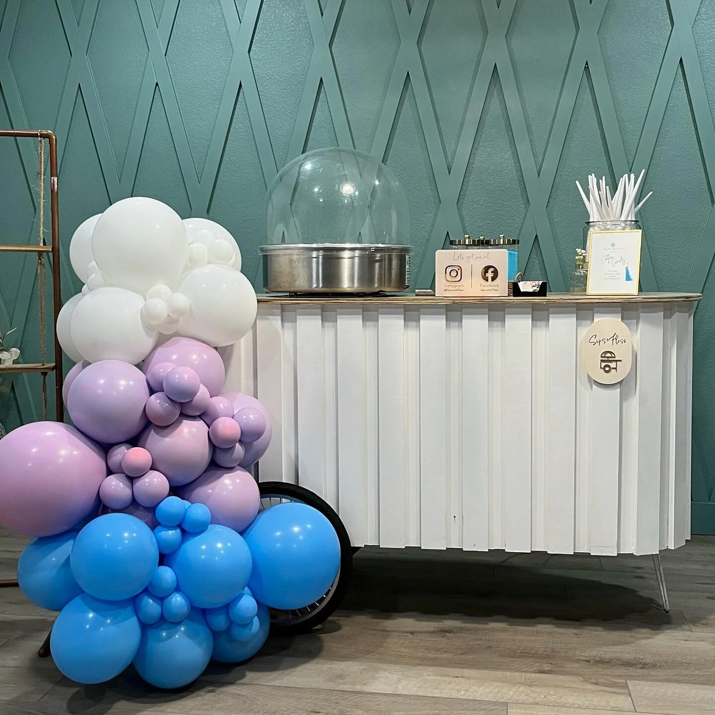 Kicked off our weekend with celebrating Princess Ayla&rsquo;s birthday! ❄️ Elsa came by and sprinkled a little snow on our Cotton Candy ⛄️ 
.
.
Garland: @issaballoonparty ✨