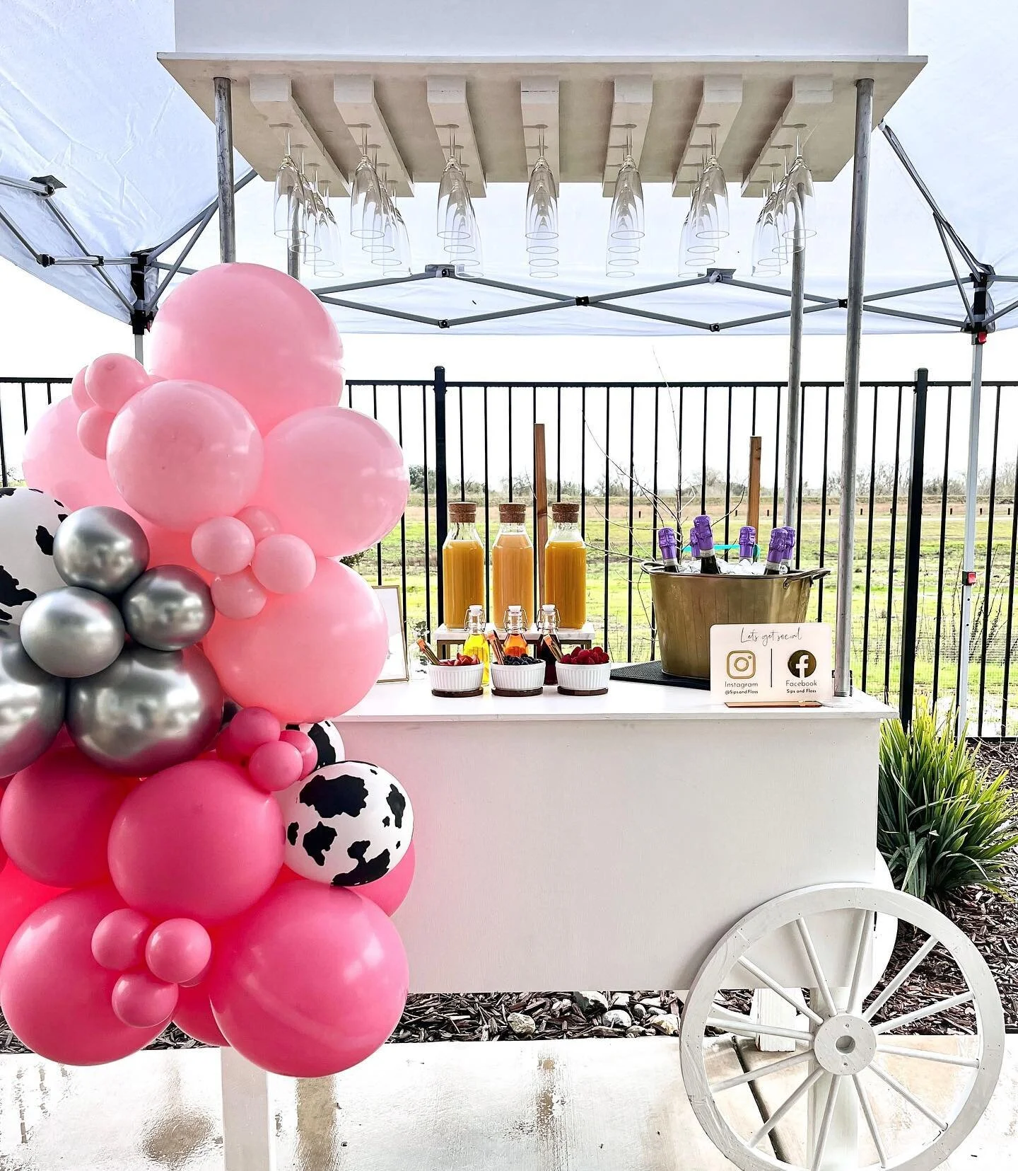 This Dolly Themed Sip &amp; See was adorable! We&rsquo;re obsessed! Mimosas &amp; Bubbly were the perfect touch✨💖 🥂
.
Thank you for having us! Welcome Baby Jolene!🫶🏽
.
.
Garland: @issaballoonparty 🤍