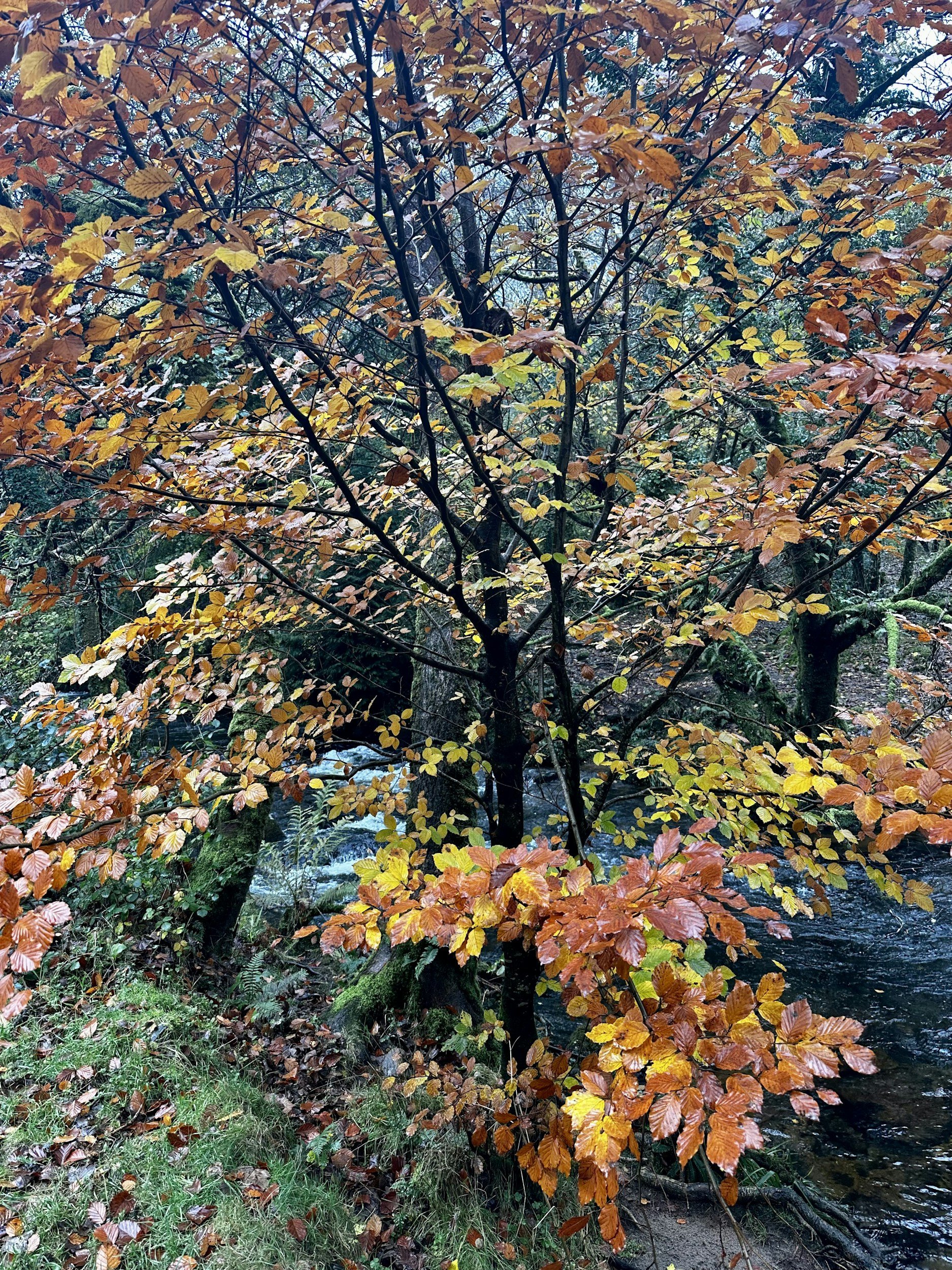 Fall Equinox Hike: Lena Point Trail with Trail Mix, Inc.