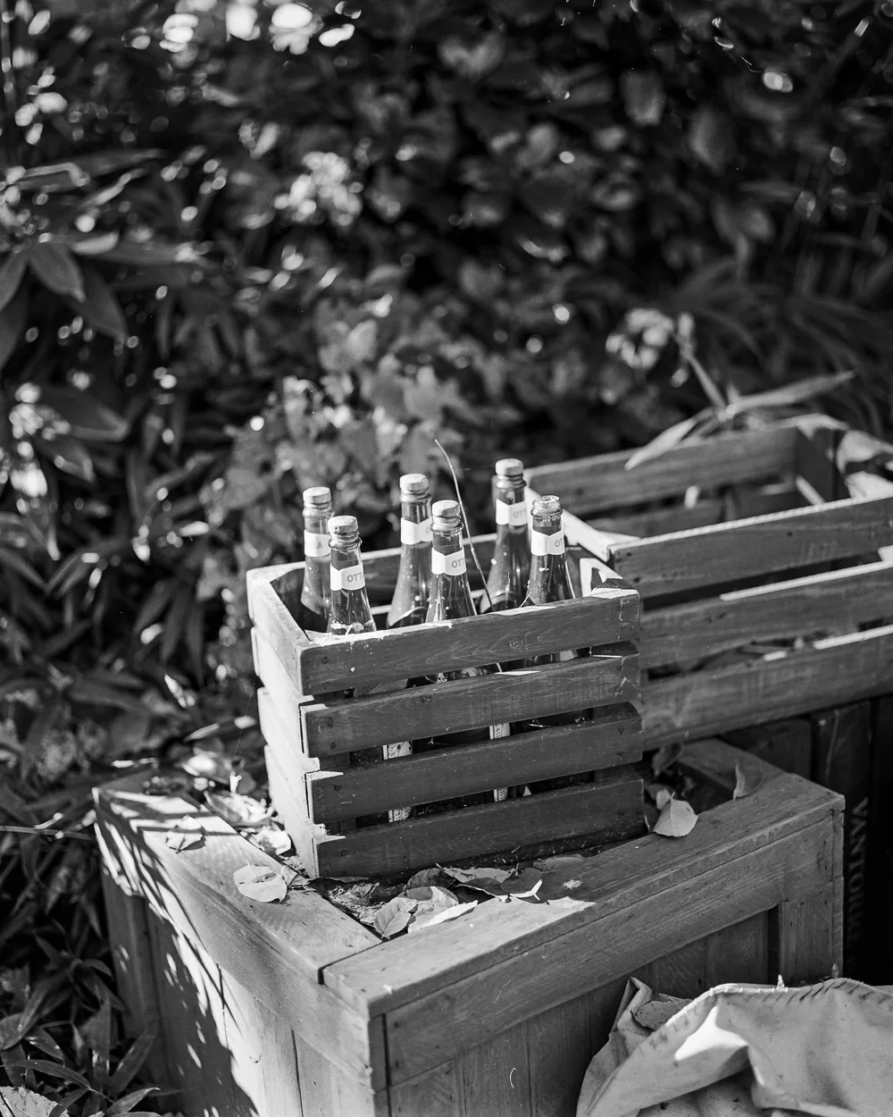 DSC_0578-positive.jpeg