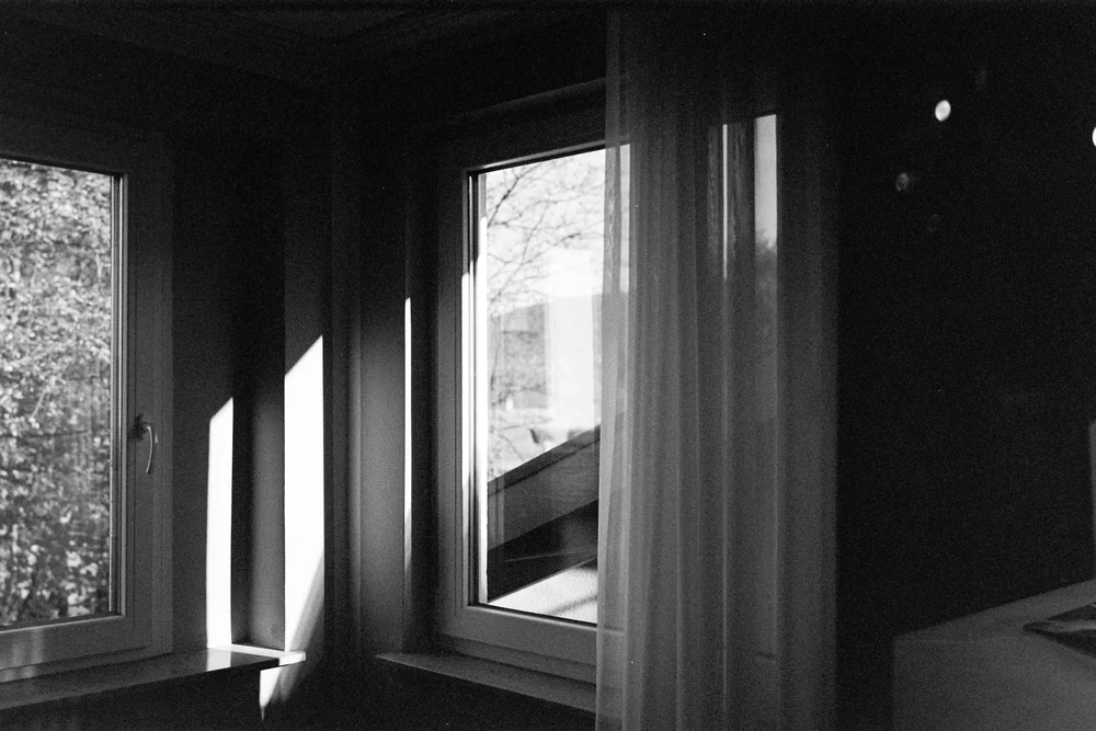 DSC_0704-positive.jpeg
